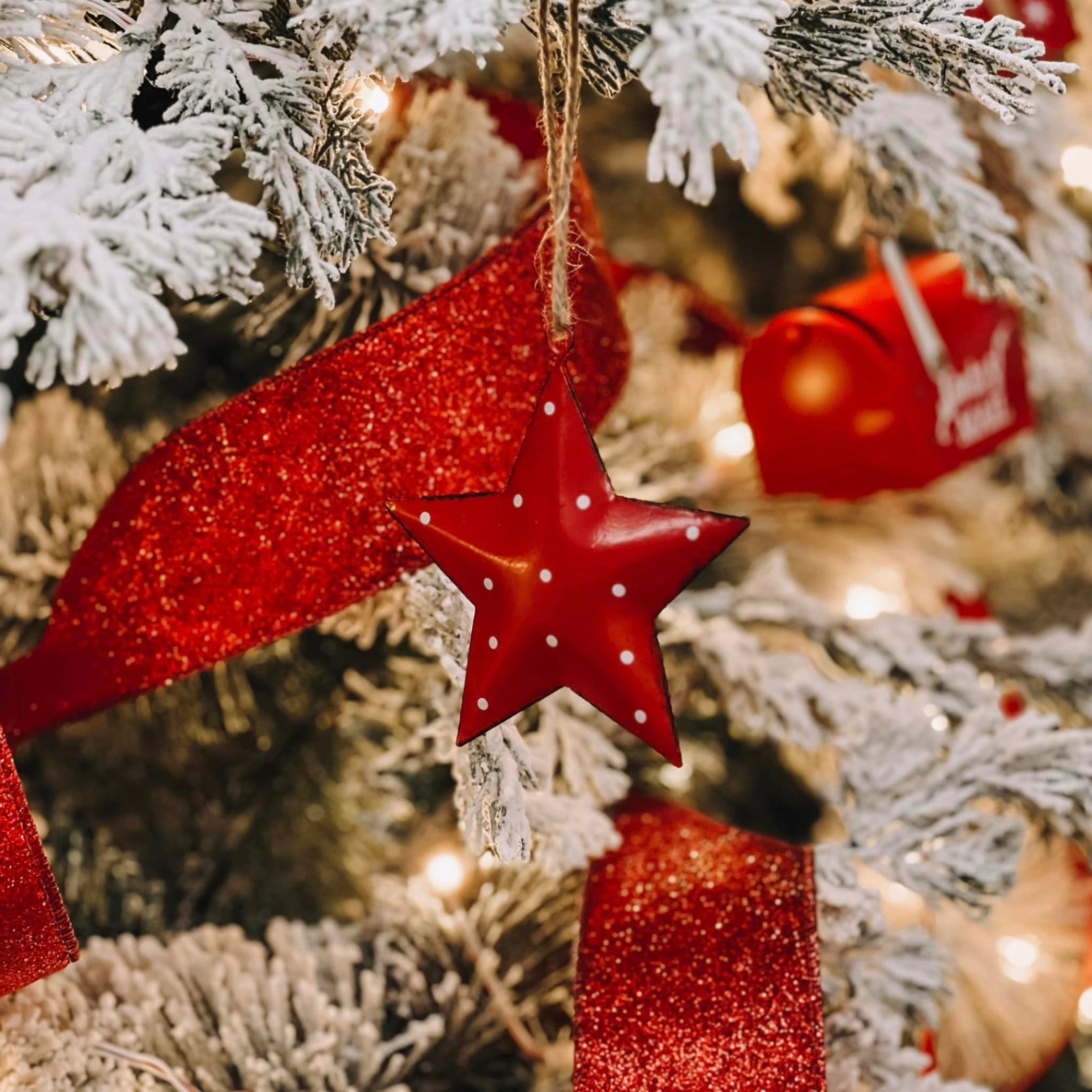 Iron Red Star Ornament W23 - Đồ Treo Hình Ngôi Sao Đỏ Bằng Sắt
