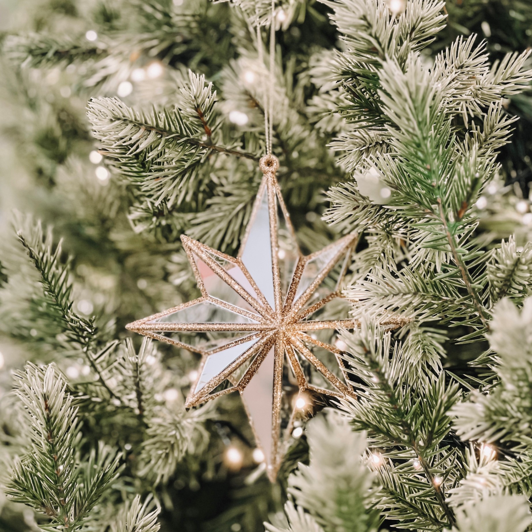 Mirror Star Ornament W23 - Đồ Treo Hình Ngôi Sao