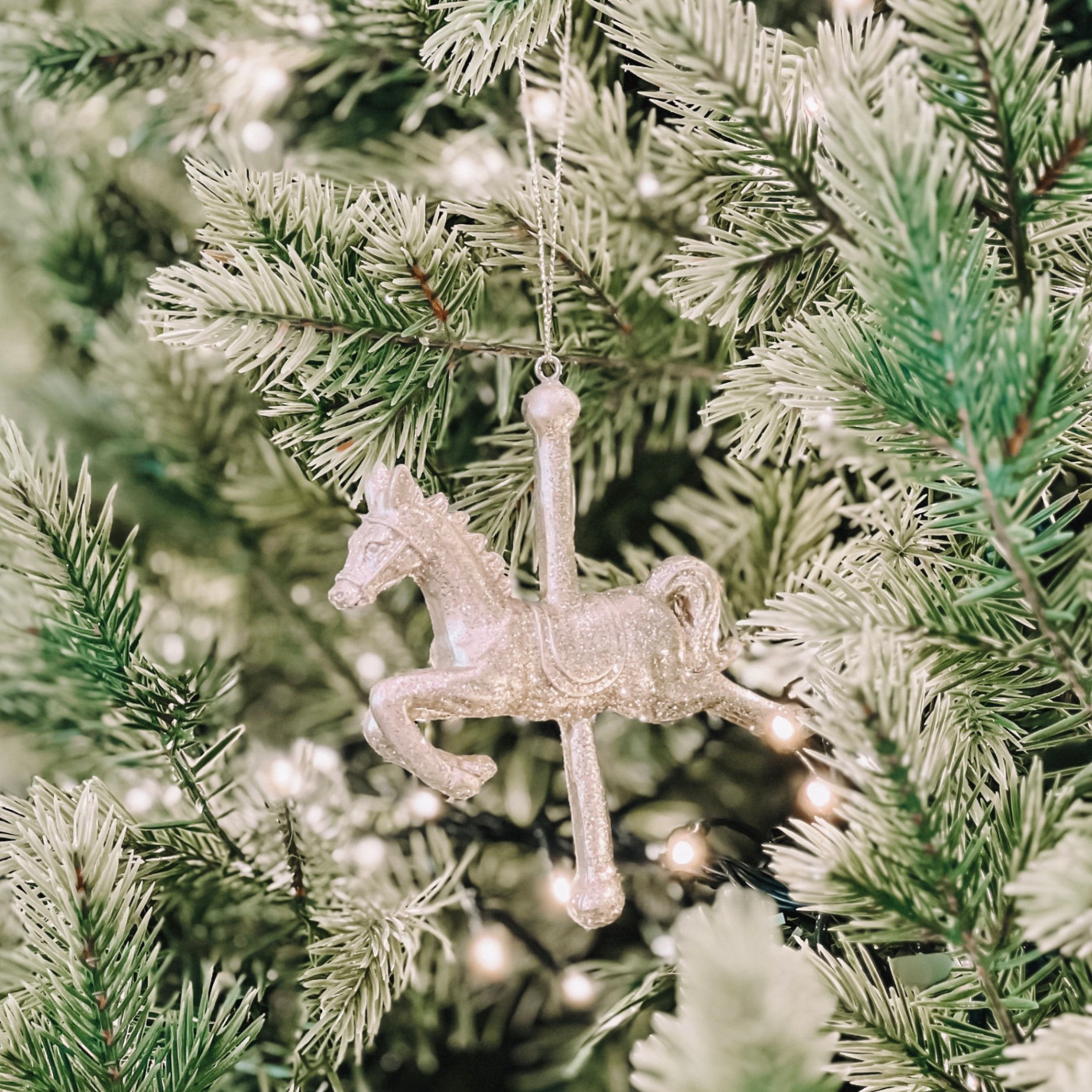 Ornament - Đồ Treo 2