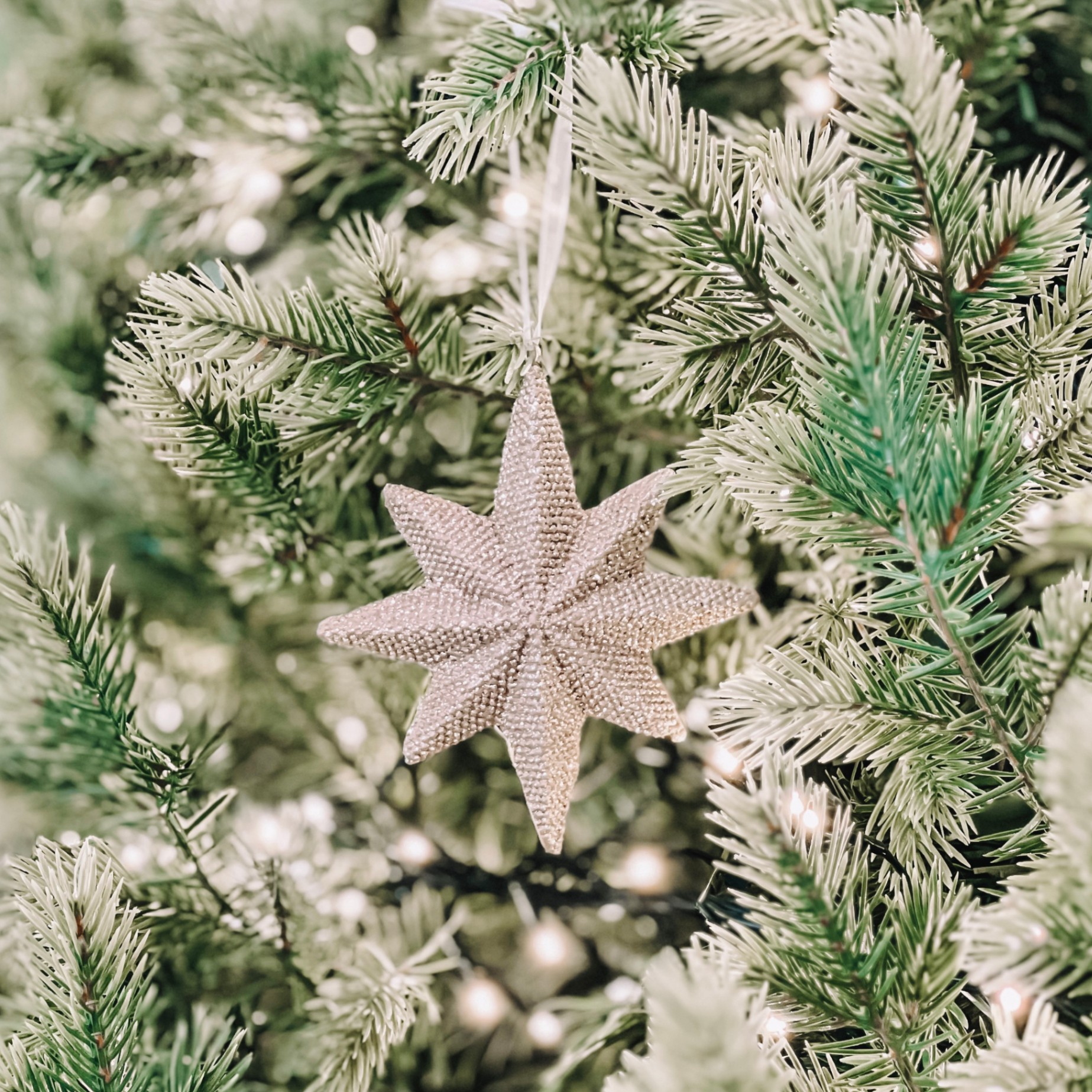 Iron Christmas Star Ornament W23 - Đồ Treo Hình Ngôi Sao Giáng Sinh Bằng Sắt
