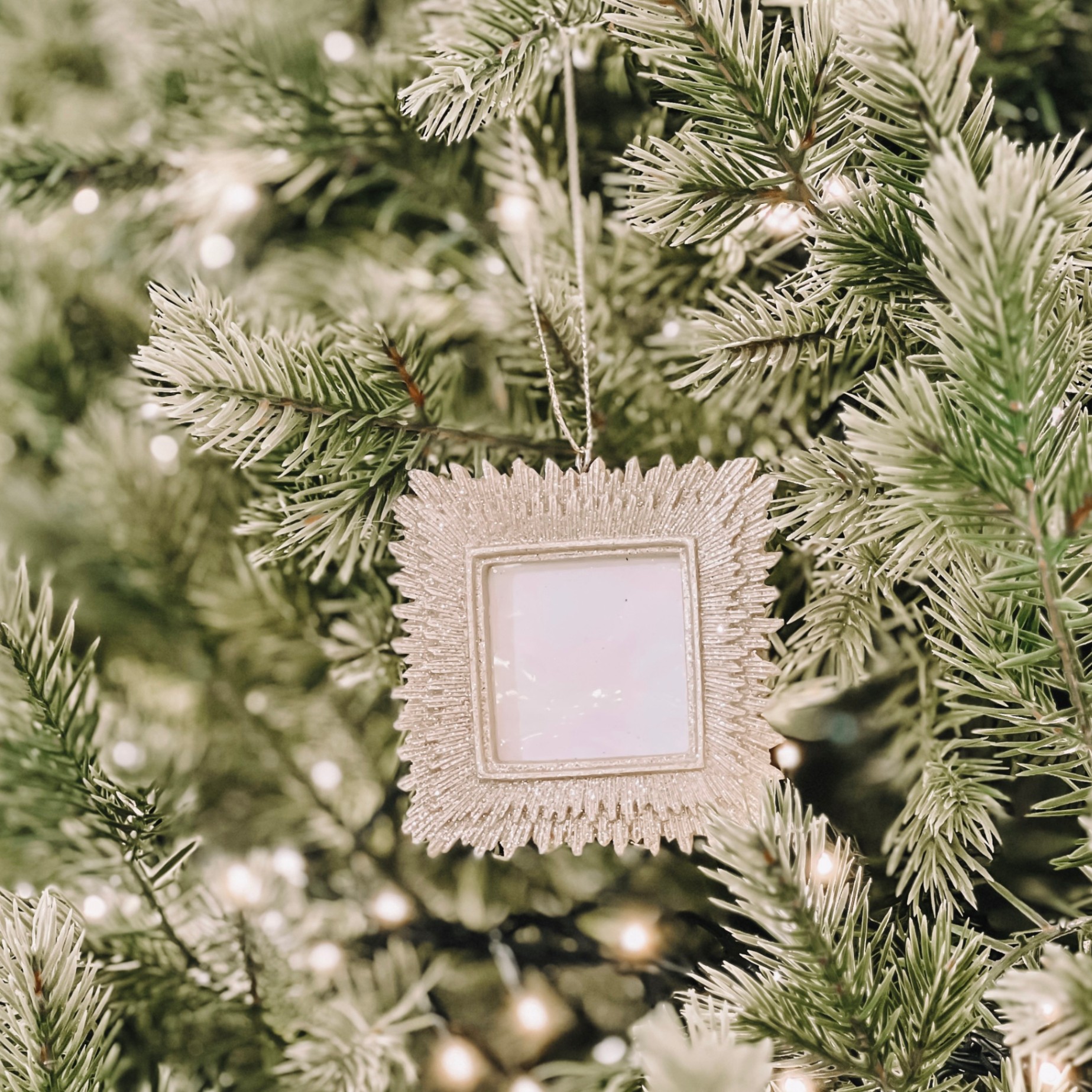 Ornament - Đồ Treo 6