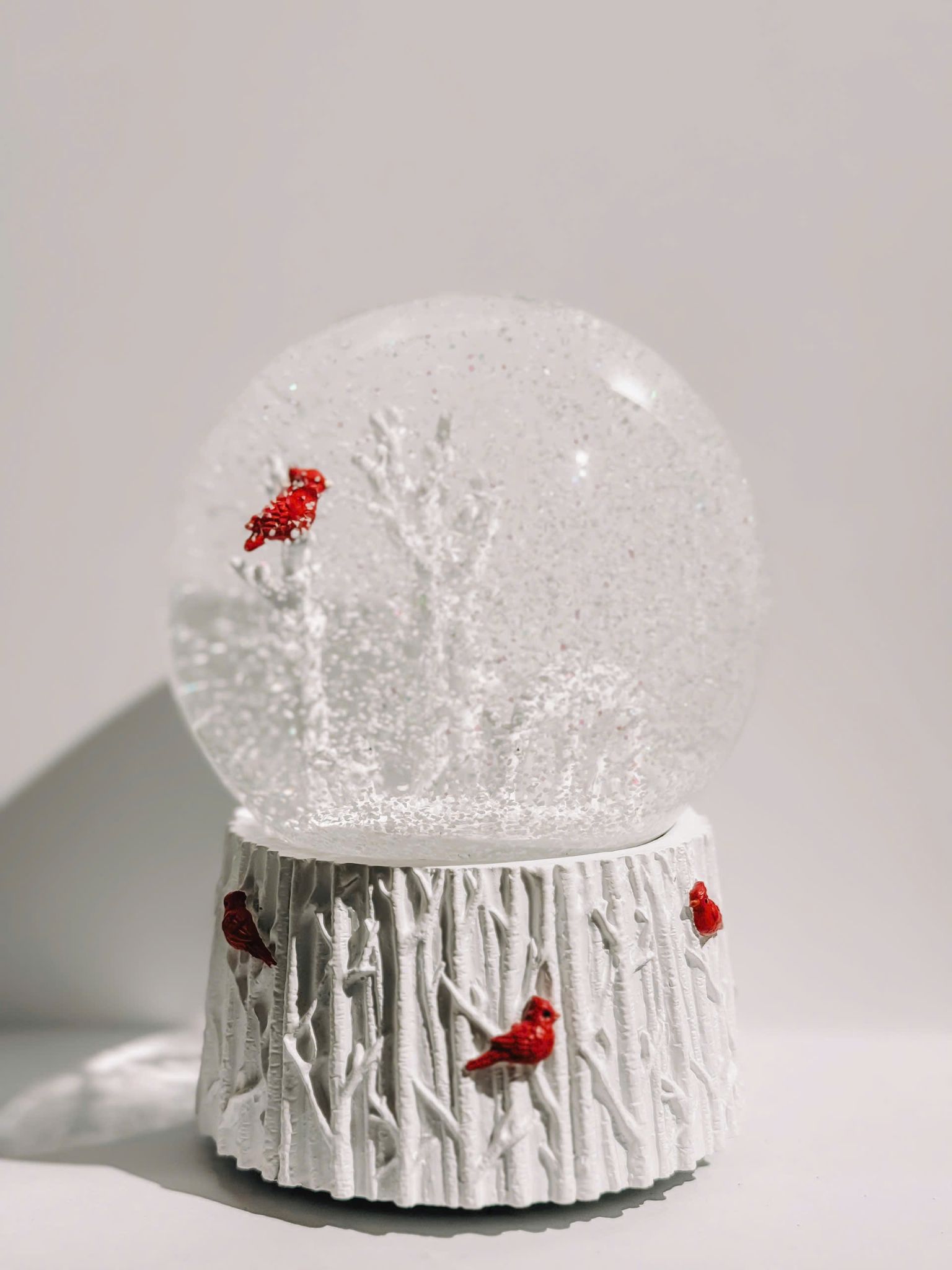 Snow Globe - Quả Cầu Tuyết 14