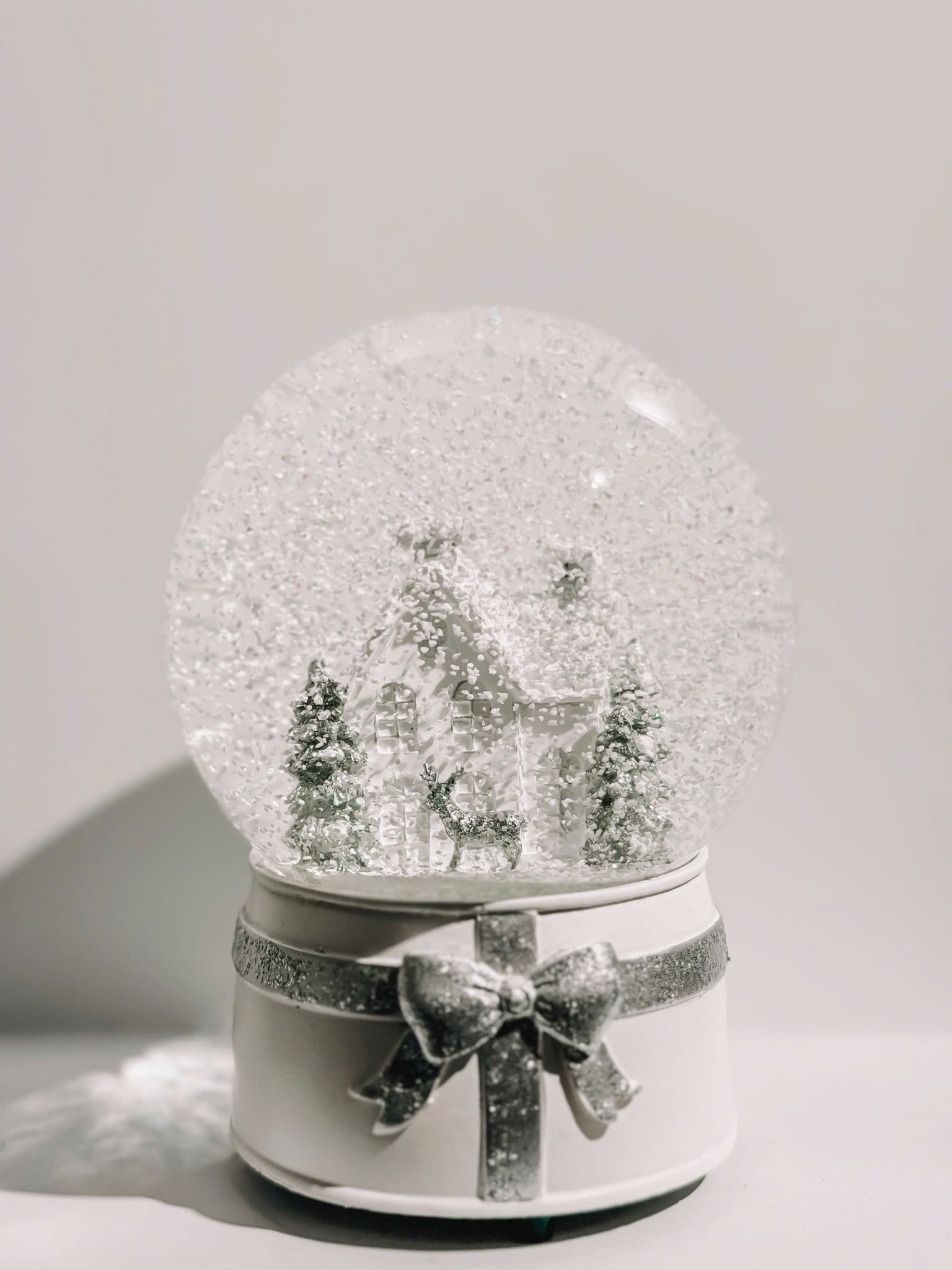 Snow Globe - Quả Cầu Tuyết 13