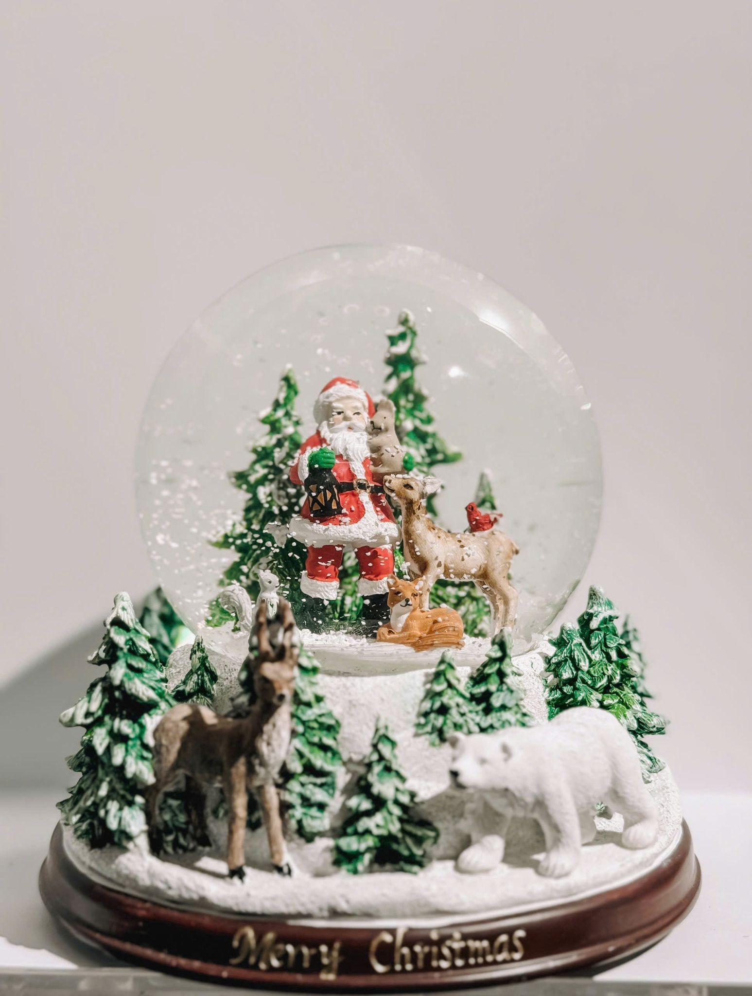 Snow Globe -Quả Cầu Tuyết 01