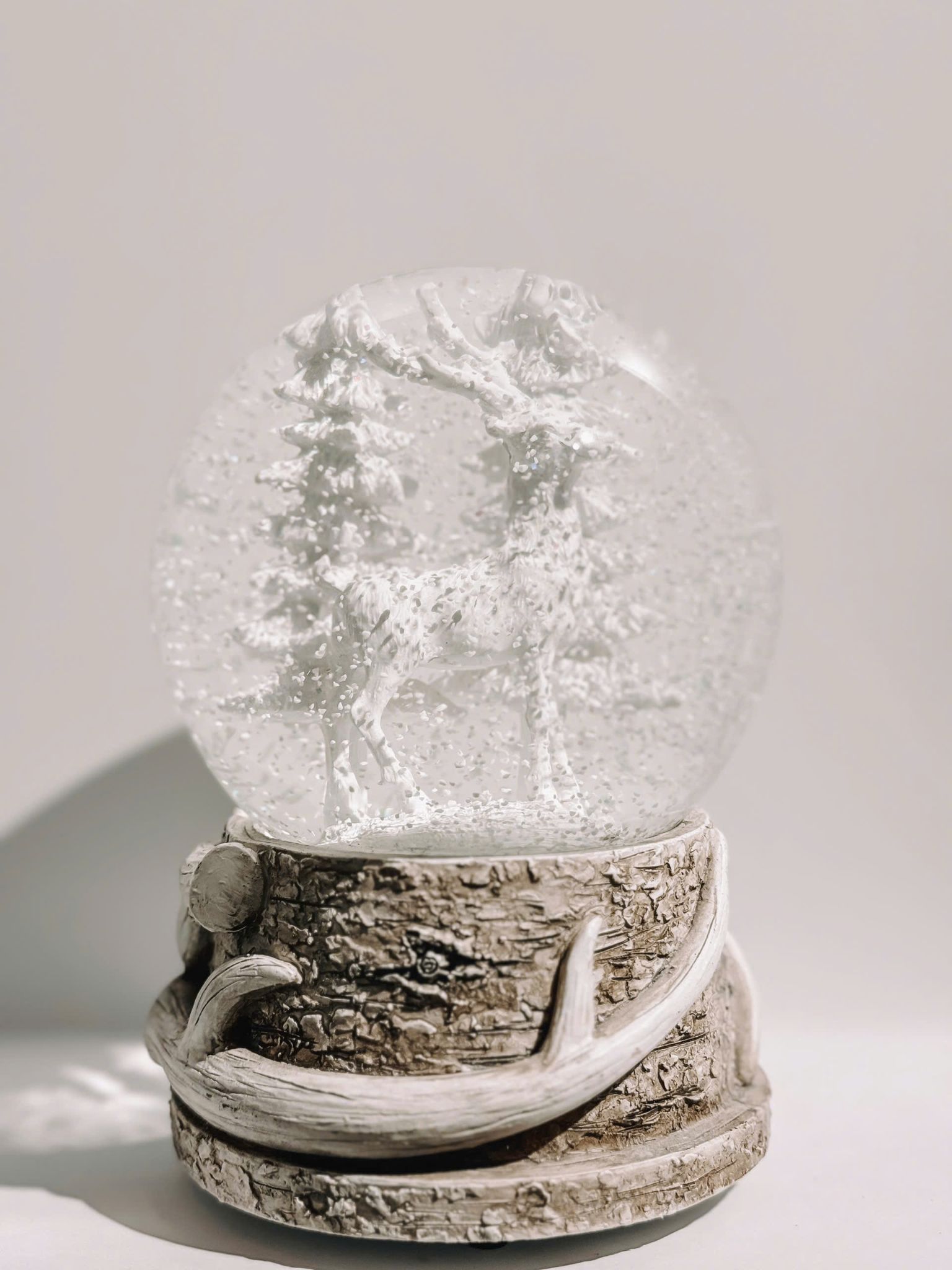 Snow Globe - Quả Cầu Tuyết 15