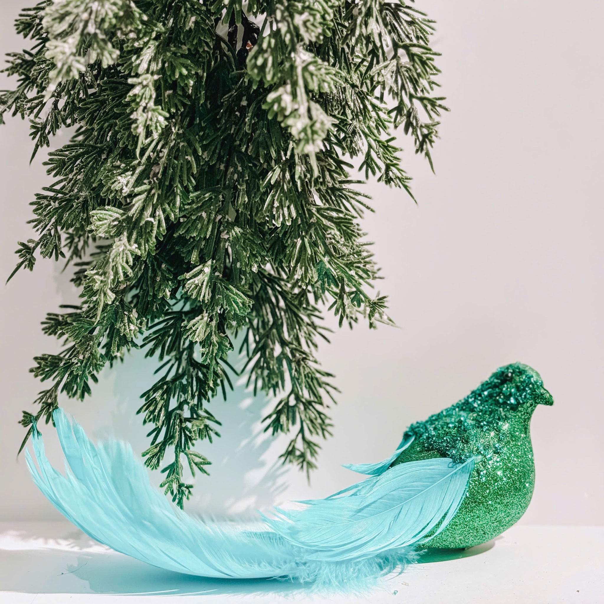 Bird With Cyan Fearther - Chim Lông Vũ Lục Lam
