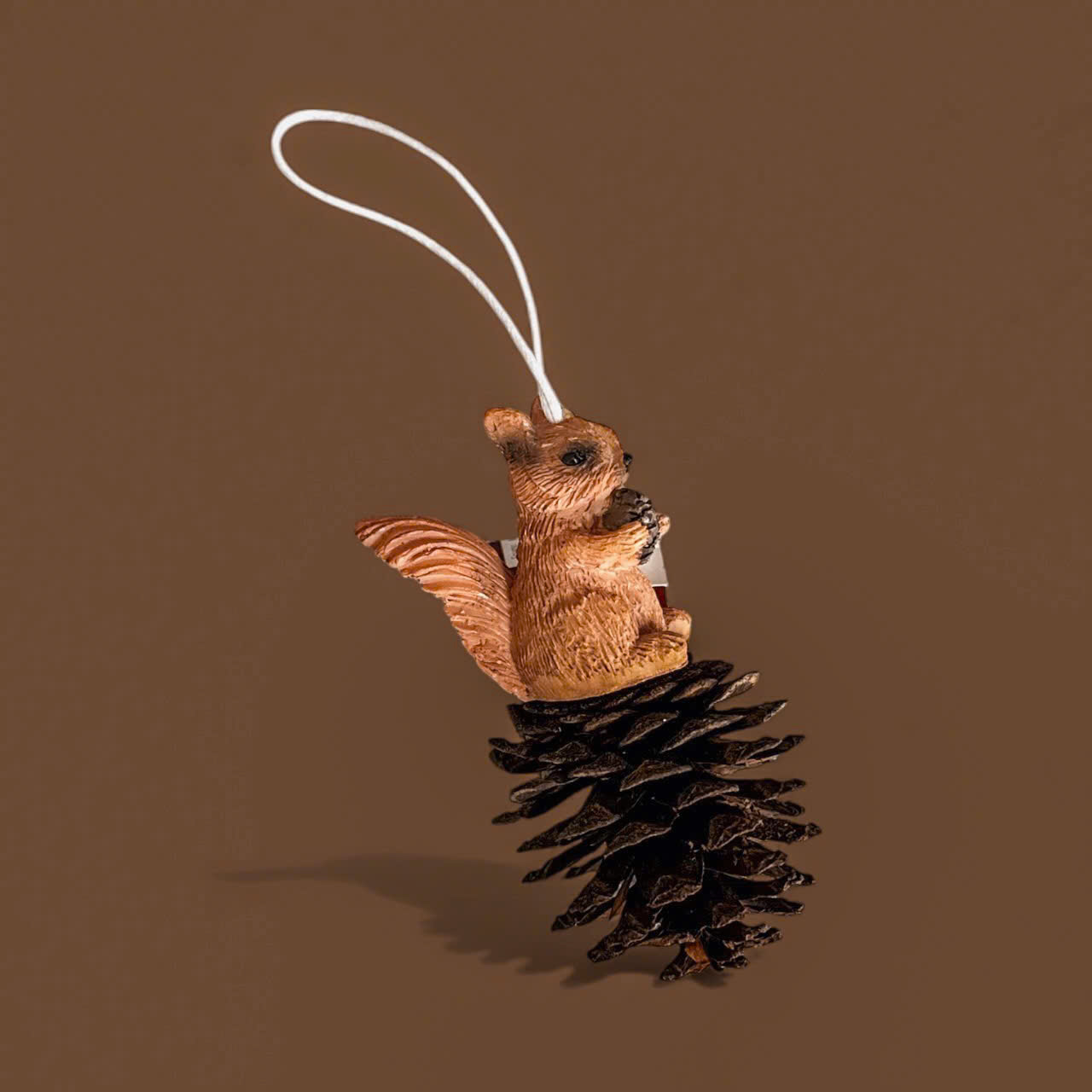 Chipmunk And Pine Cone - Chú Sóc Và Quả Thông