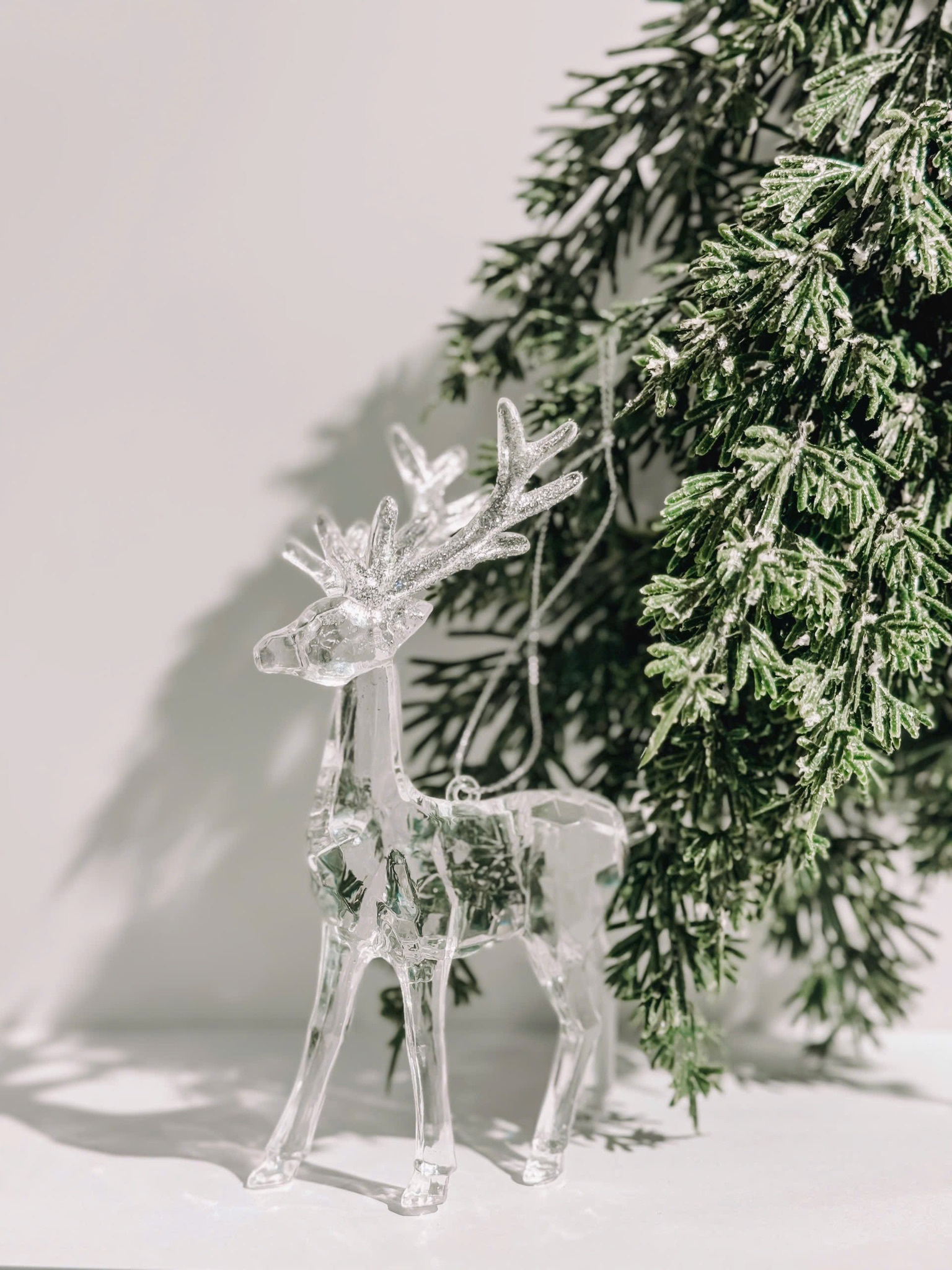 Clear Deer Standing - Chú Hươu Trong Đứng