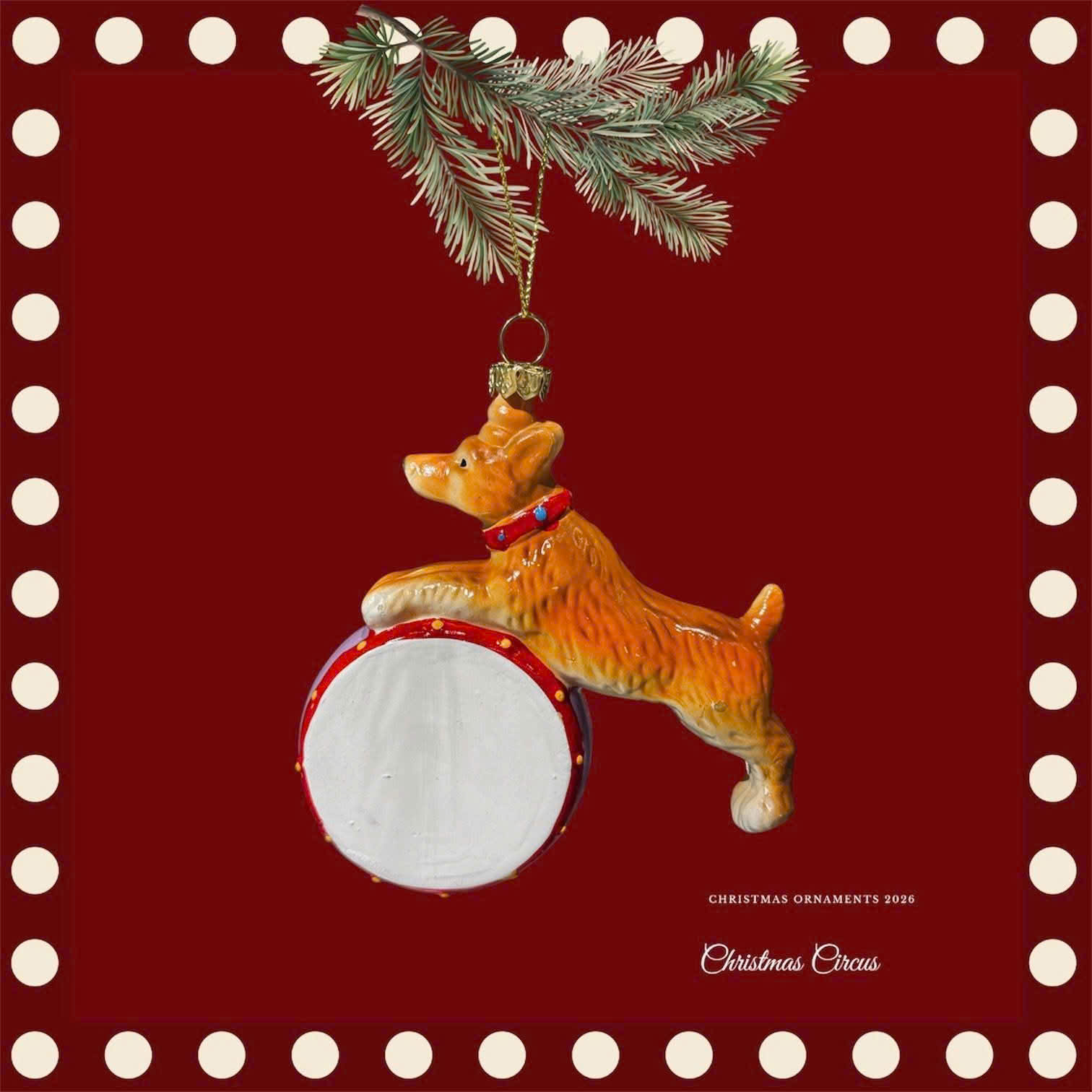 Dog Circus With Drum - Cún Con Xiếc Với Trống
