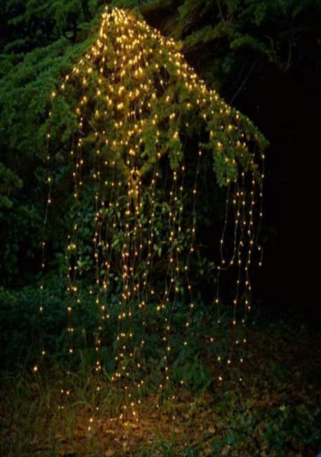 Fairy Light 17Meters with 10 Branches - Đèn Led 17M 10 Nhánh