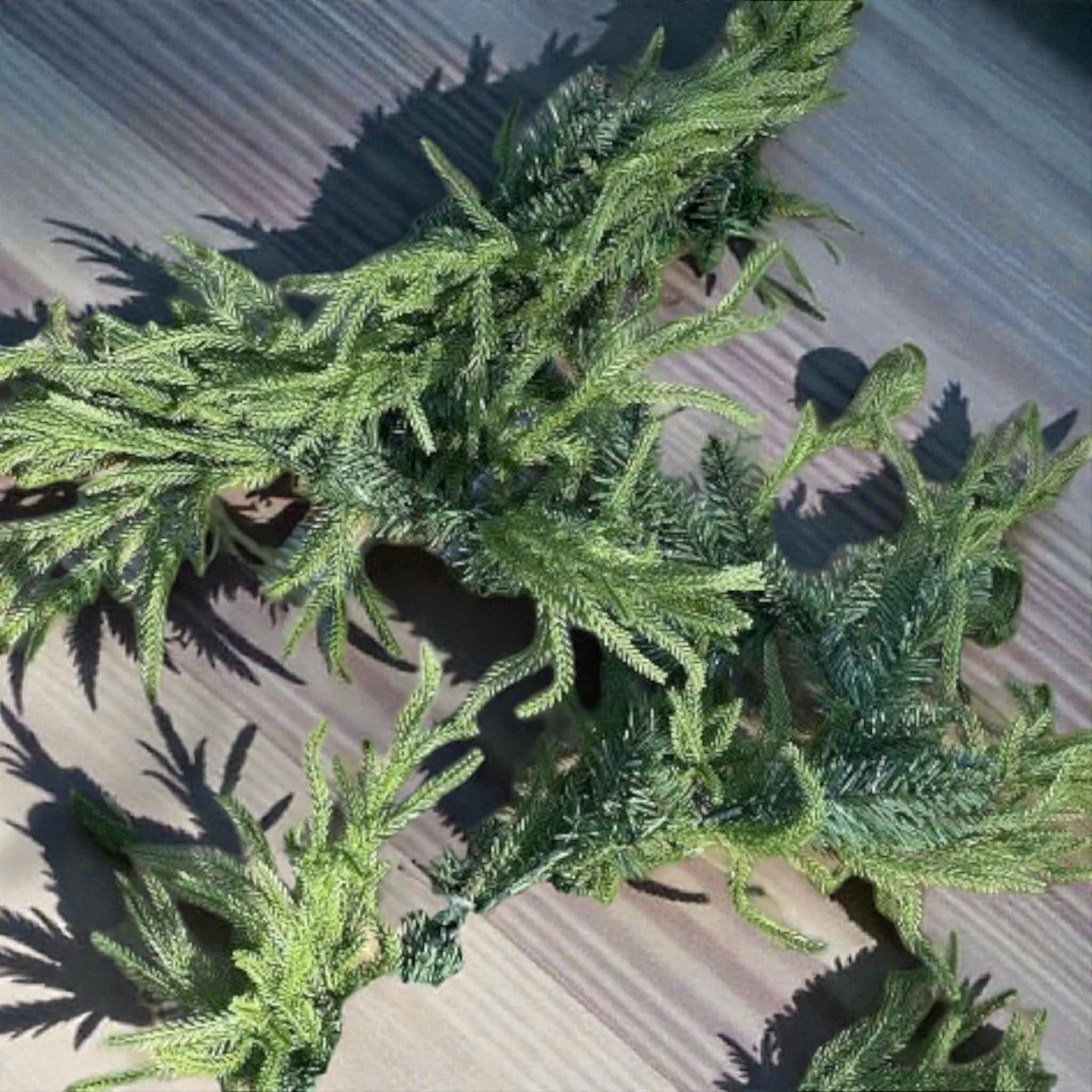 Green Garland - Dây Thông Xanh Hai Loại Lá 200CM