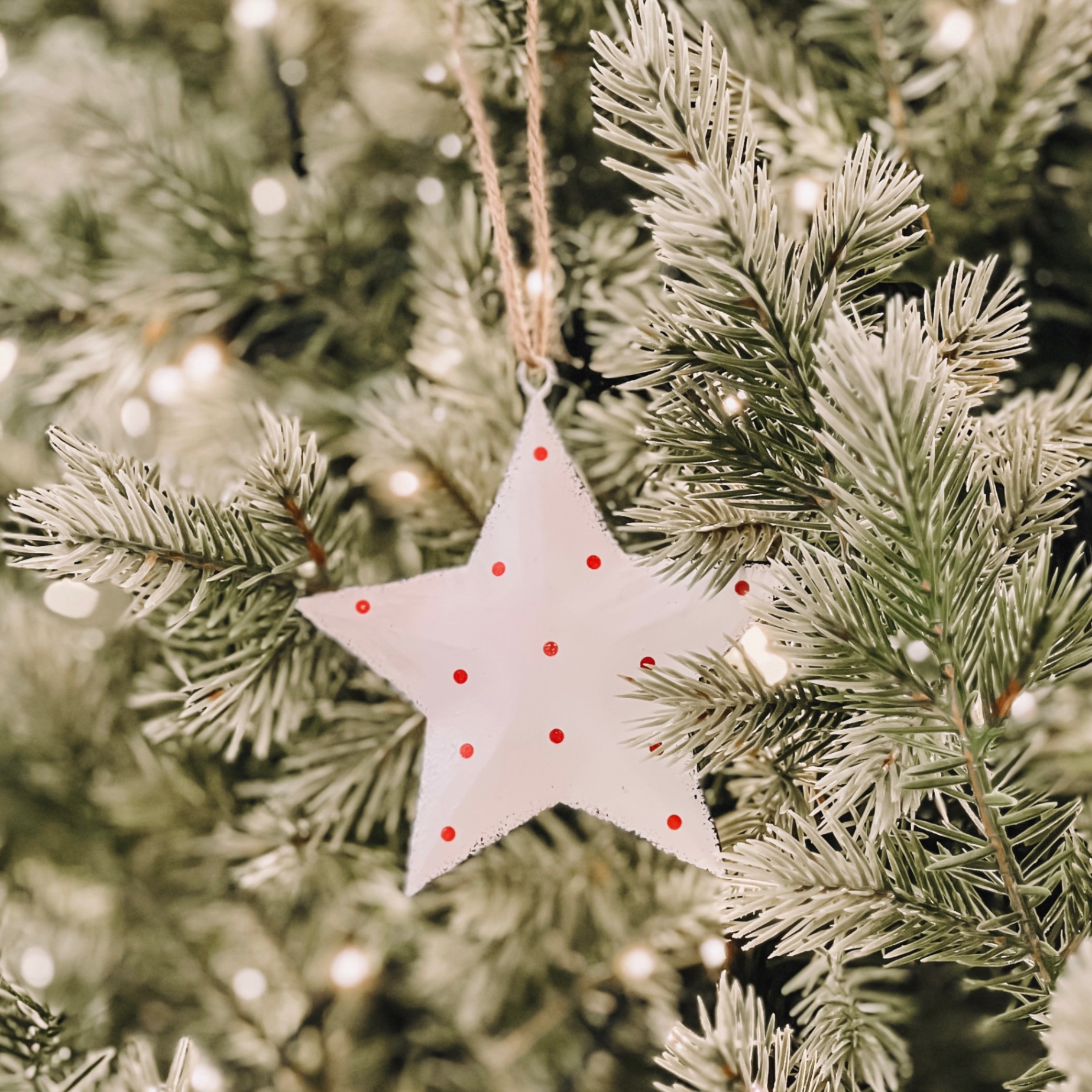 Iron White Star Ornament - Đồ Treo Hình Ngôi Sao Trắng Bằng Sắt