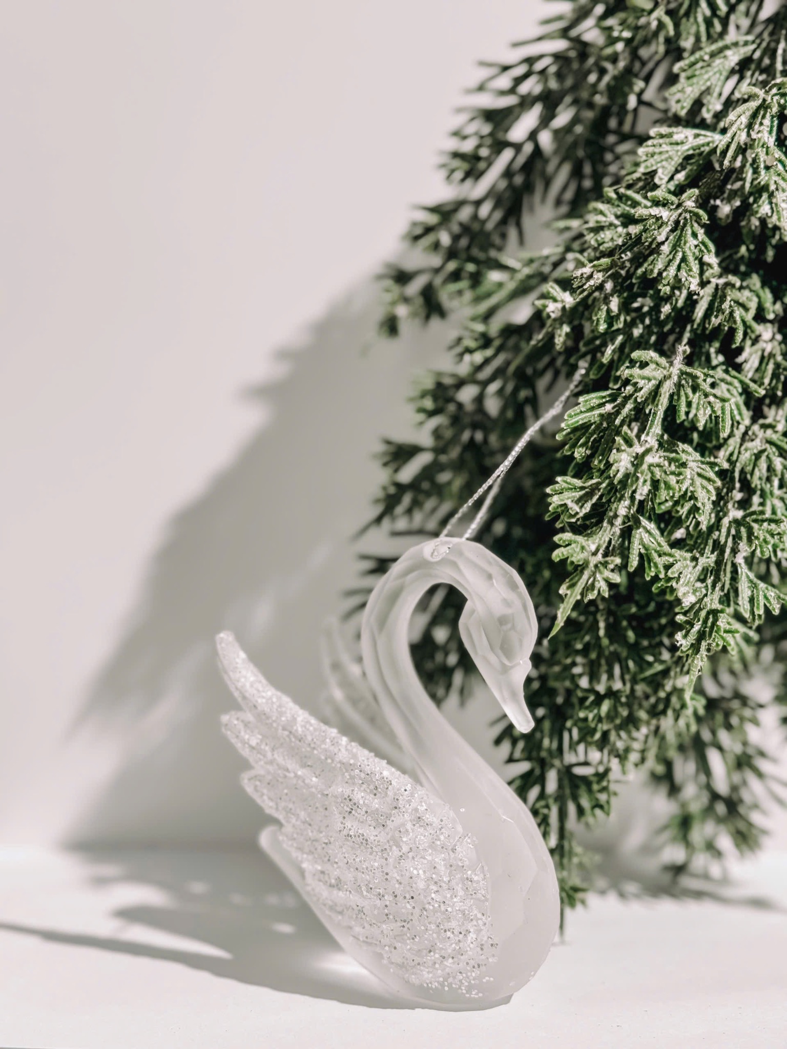 Swan In Silver - Thiên Nga Bạc