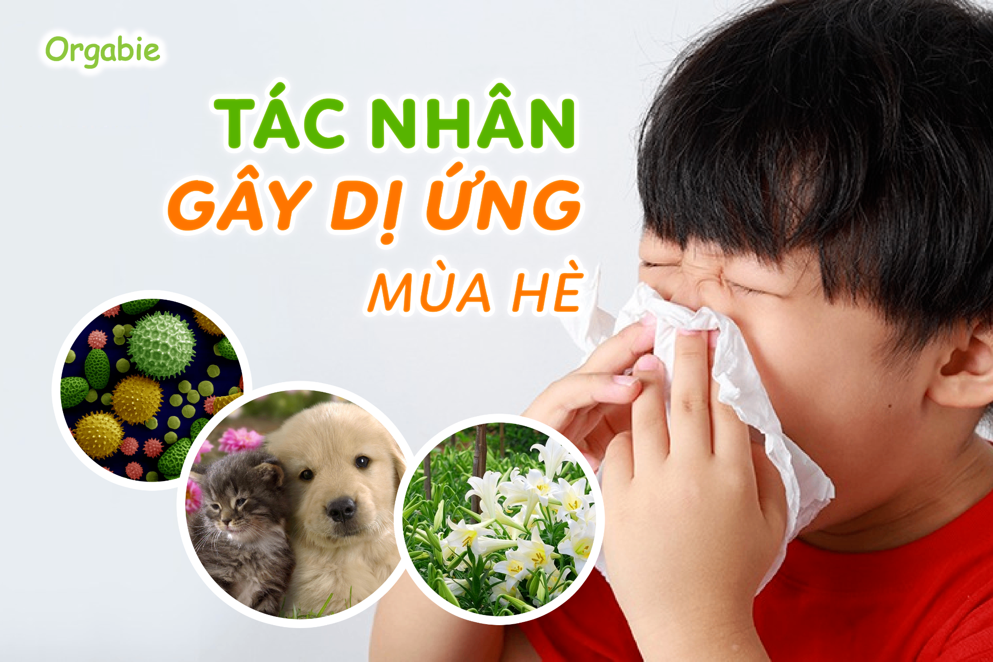 Di-ung-thoi-tiet-mua-he-o-tre-em-Canh-bao-moi-nguy-hiem-tiem-an-2.png