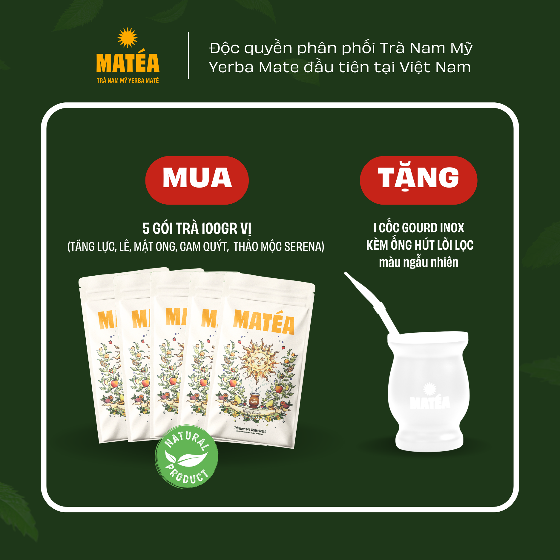 Combo Trải Nghiệm 5 dòng Trà Yerba Mate 100gr tặng cốc Gourd kèm ống hút lõi lọc Bombilla