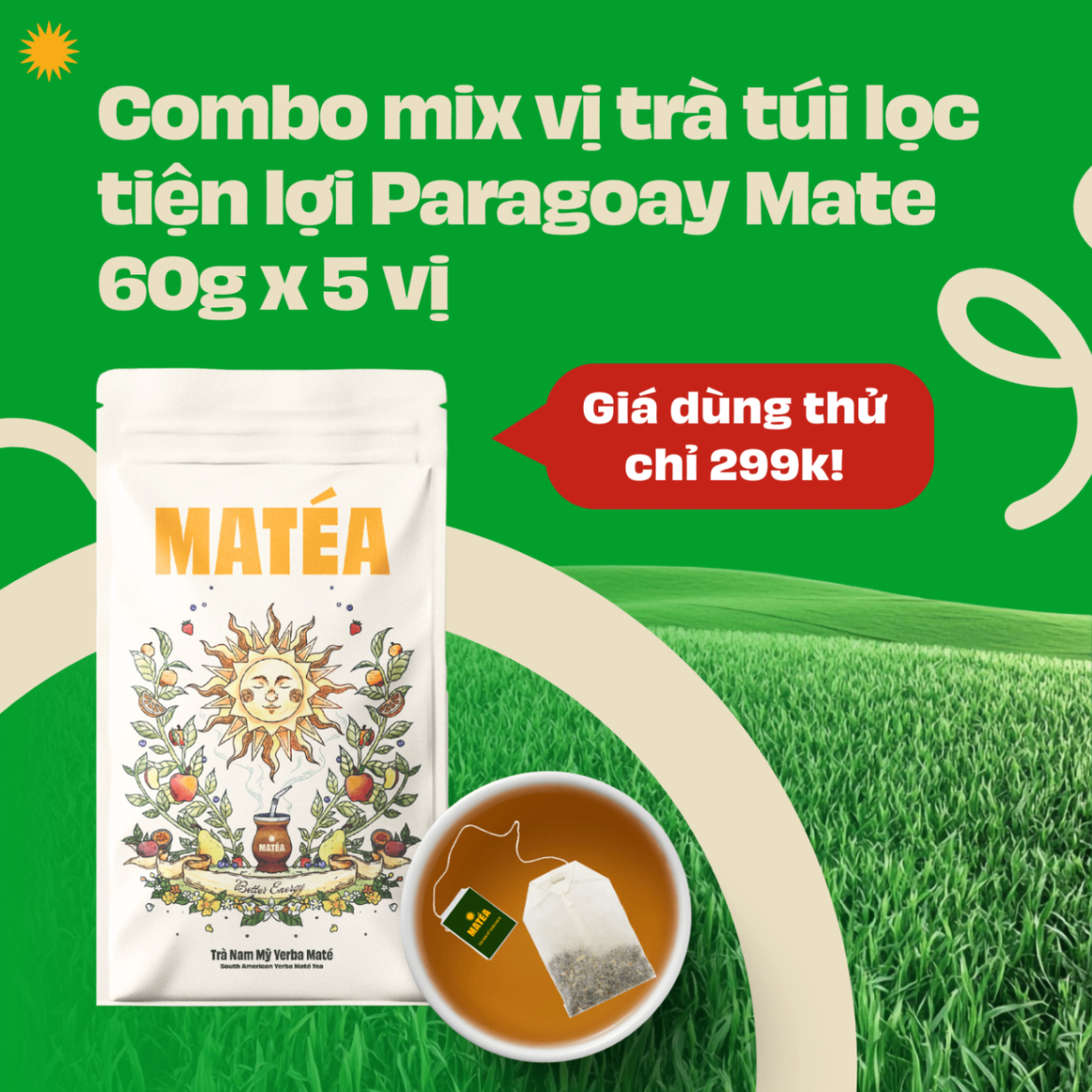 Combo mix vị trà túi lọc Yerba Mate tiện lợi Paragoay 60gx5