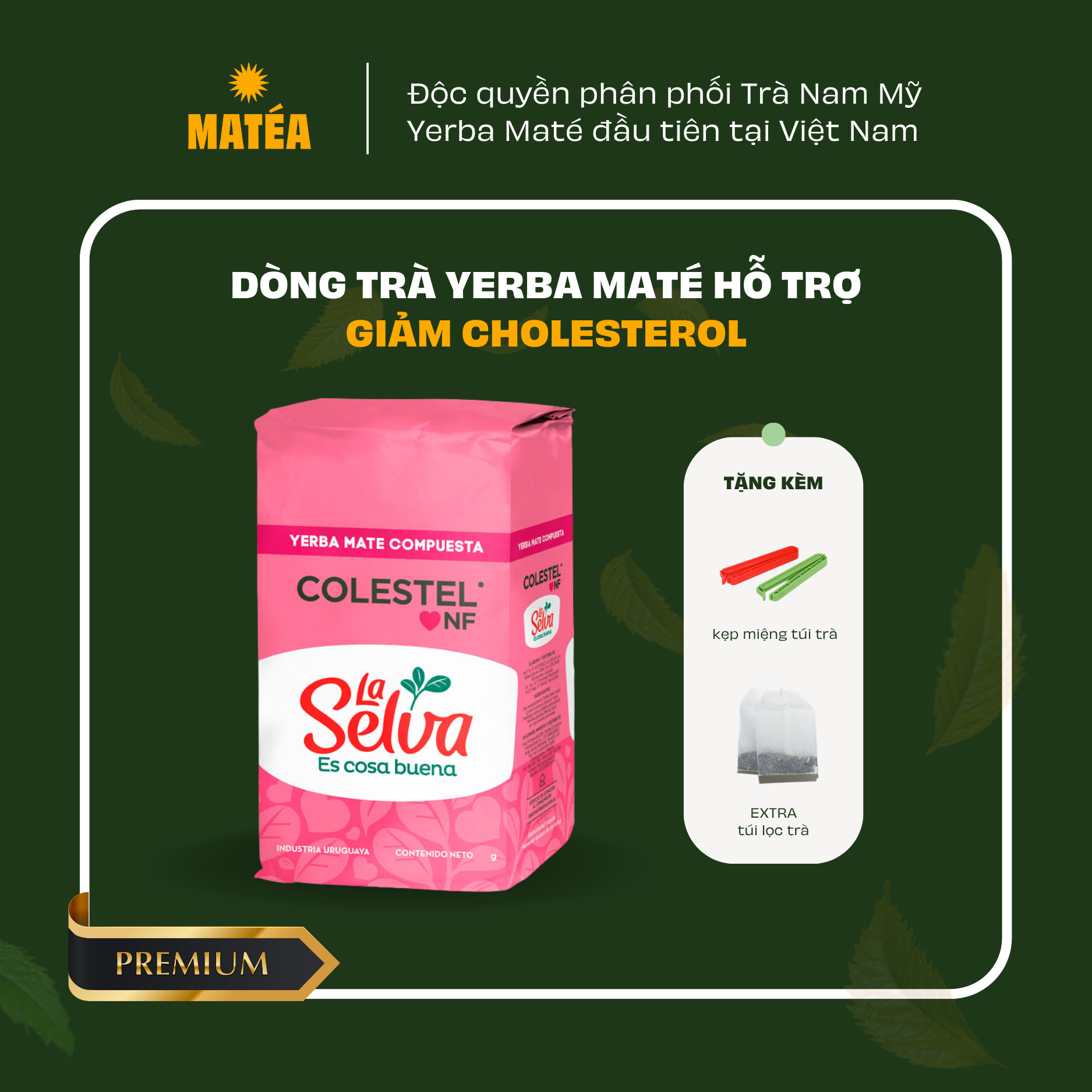 Trà La Selva Colestel 500g
