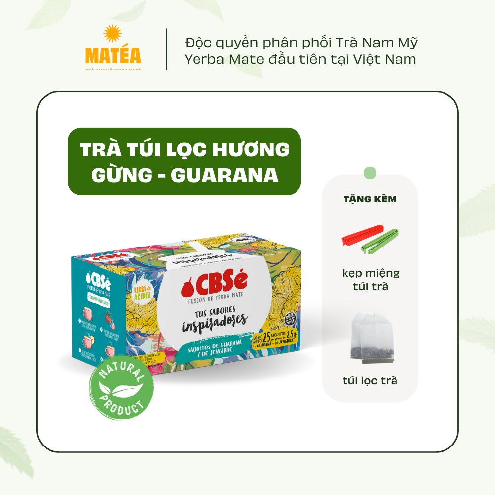 Trà túi lọc Yerba Mate CBSE hương vị Guarana - gừng