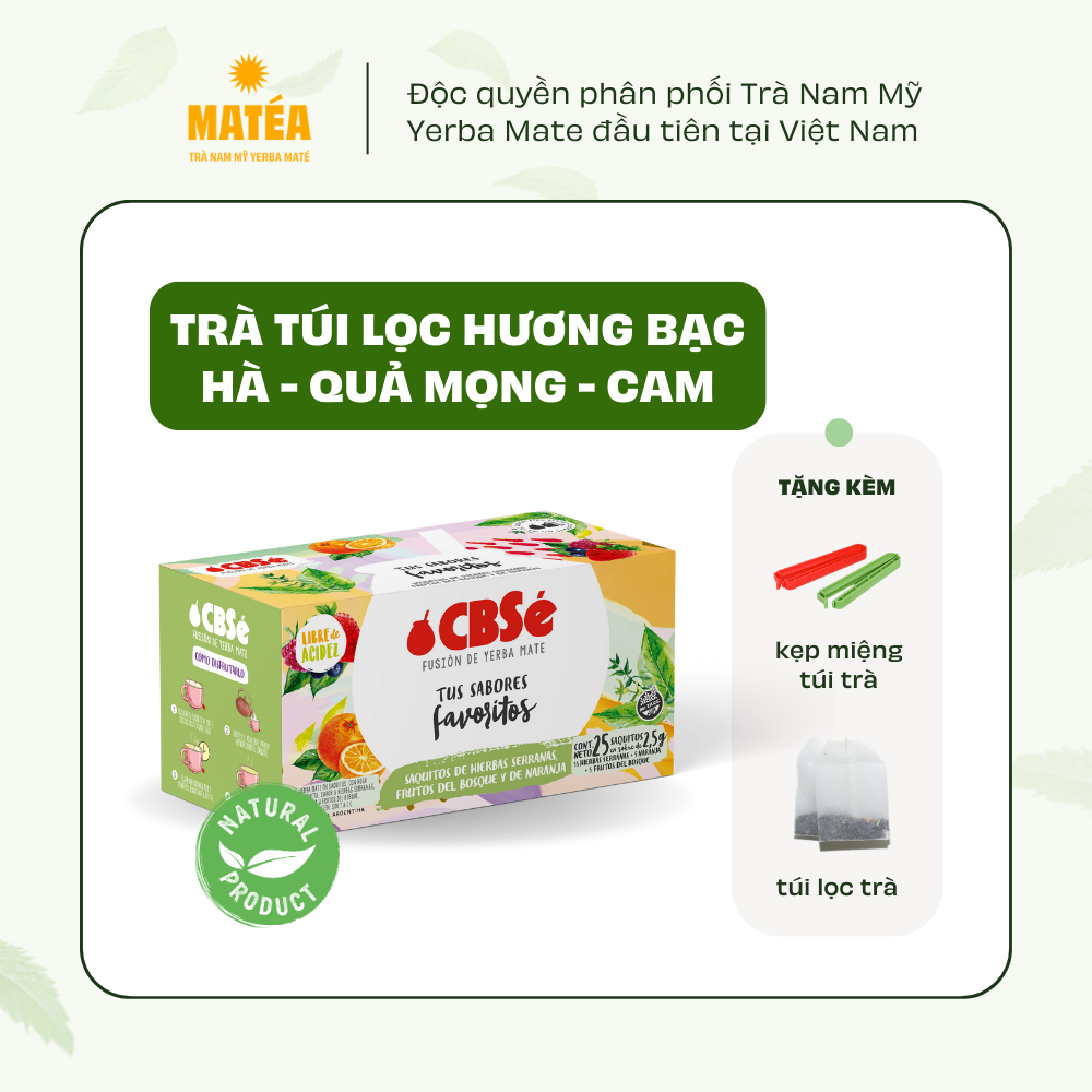 Trà túi lọc Yerba Mate CBSE hương vị thảo mộc - trái cây rừng - cam