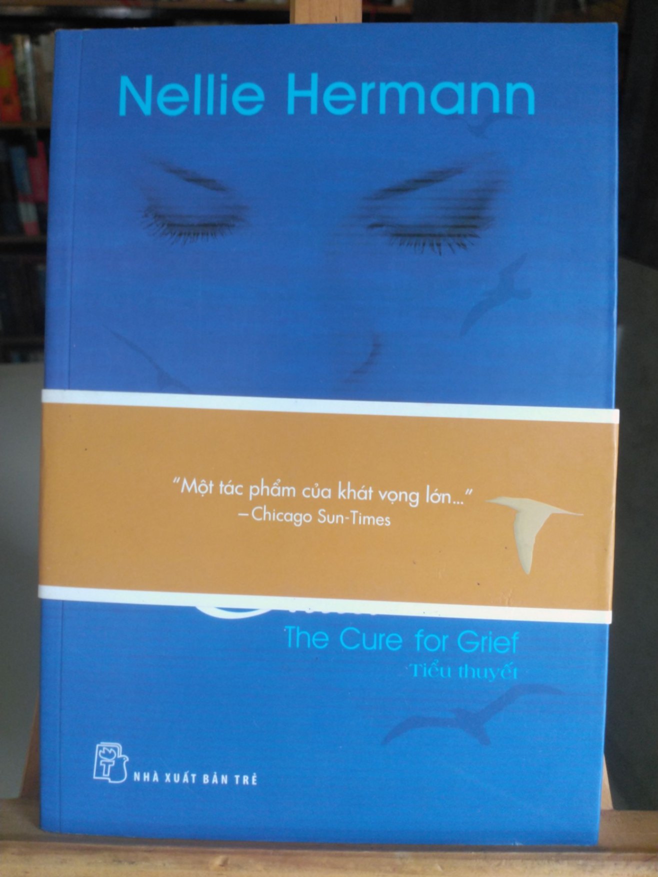 Chữa lành-Sách lưu kho mới 80%, ố nhẹ- 2012- Nellie Hermann [1301] 77 (SL có thể đặt: 1 Cuốn) - SÁCH ĐẠI HỌC