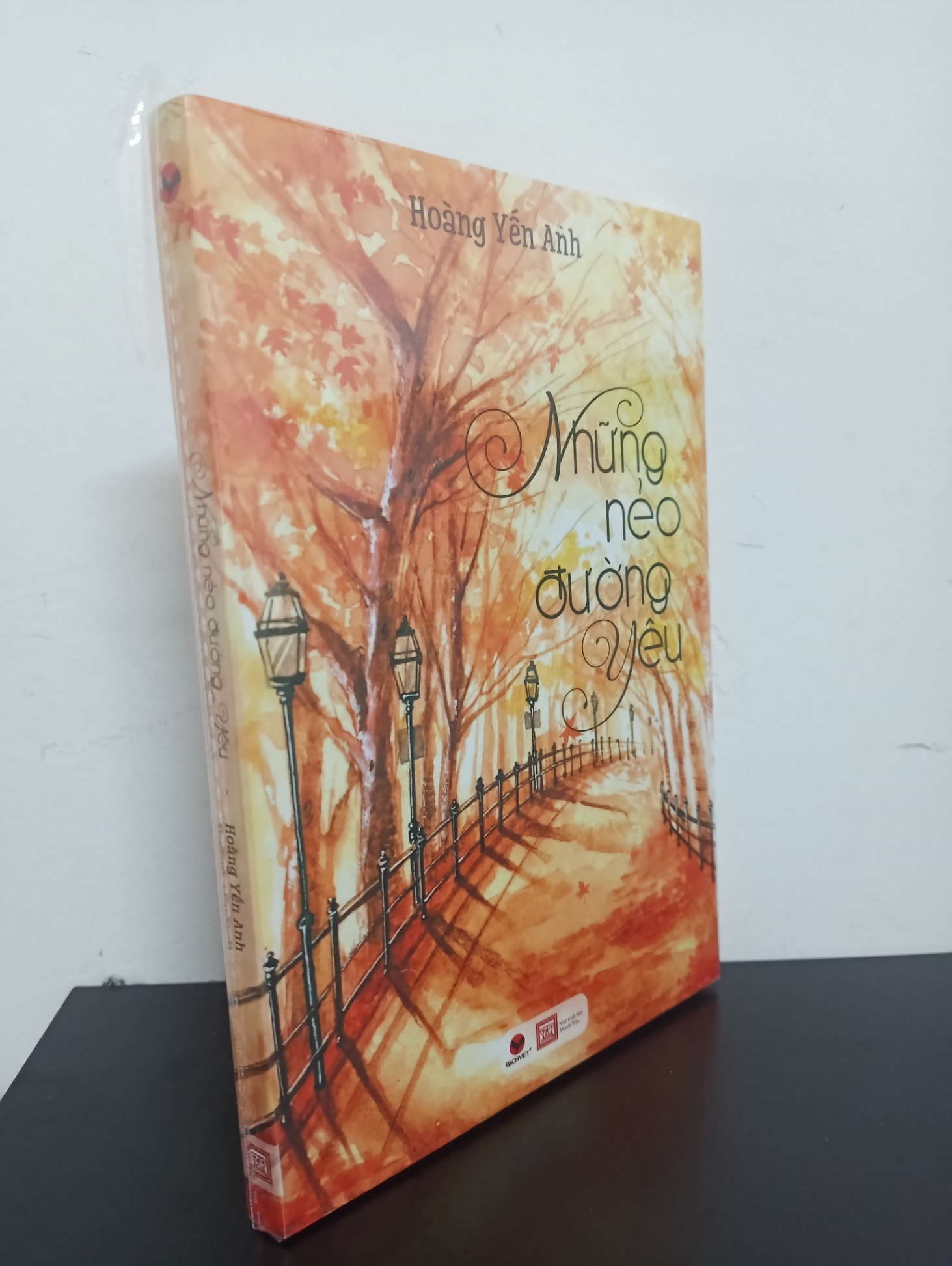 Những Nẻo Đường Yêu - Hoàng Yến Anh Mới 100% 2902 (SL có thể đặt: 3 cuốn) - SÁCH ĐẠI HỌC