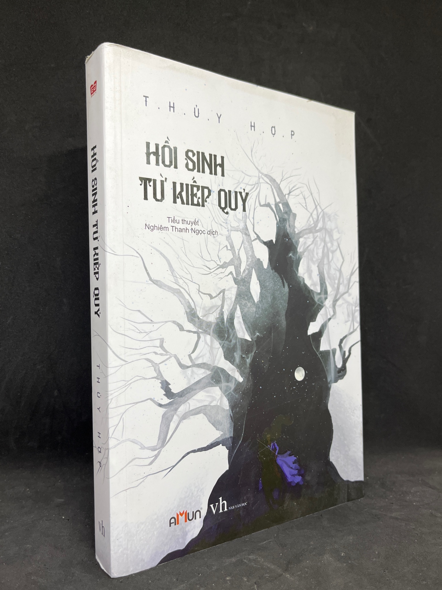 Hồi Sinh Từ Kiếp Quỷ - Thuỷ Hợp new 90% 0806 (SL có thể đặt: 1 Cuốn) - SÁCH ĐẠI HỌC