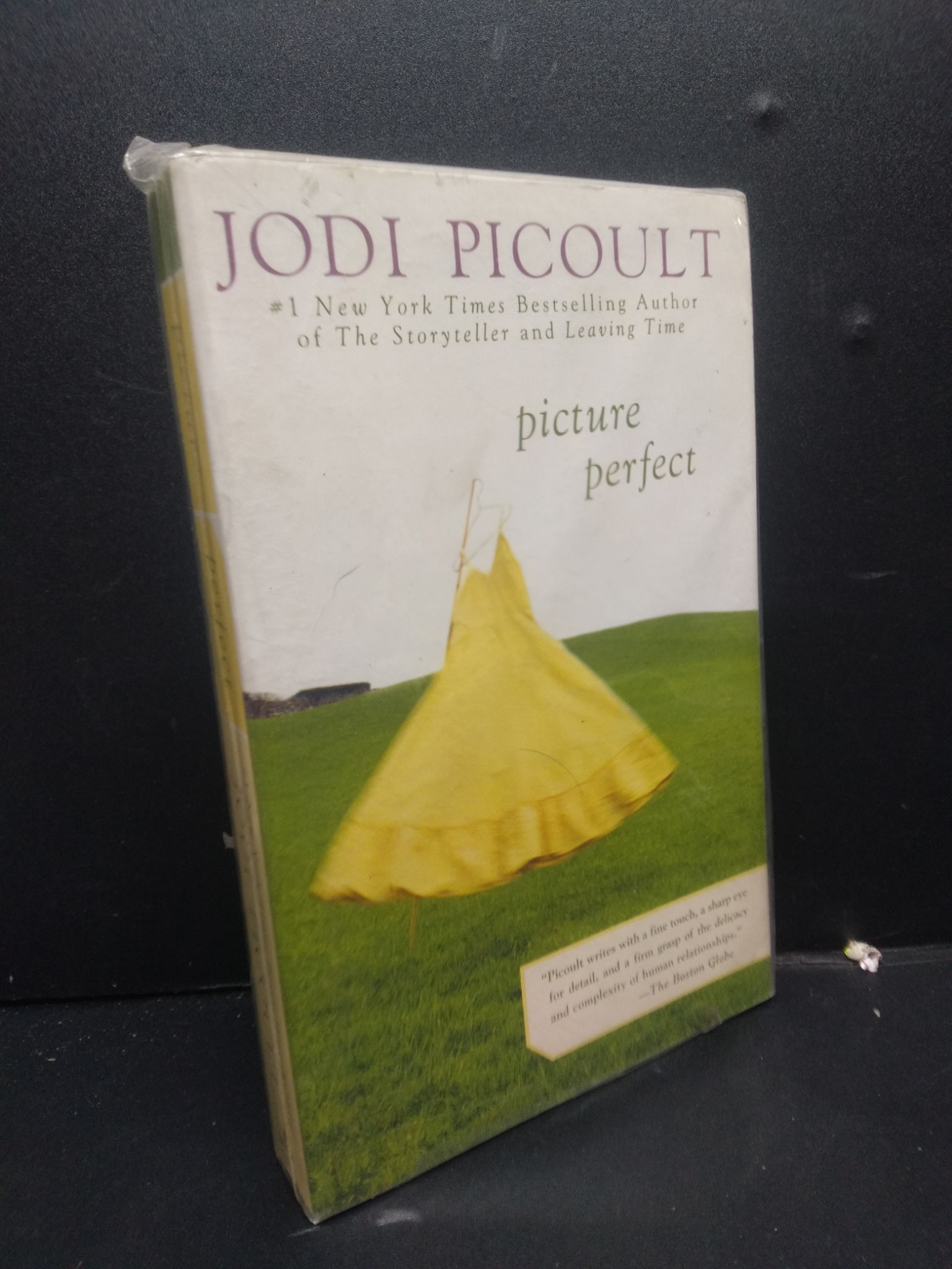 Picture Perfect (seal) mới 70% ố vàng 2405 Jodi Picoult Sách ngoại văn (SL có thể đặt: 1 Cuốn) - SÁCH ĐẠI HỌC