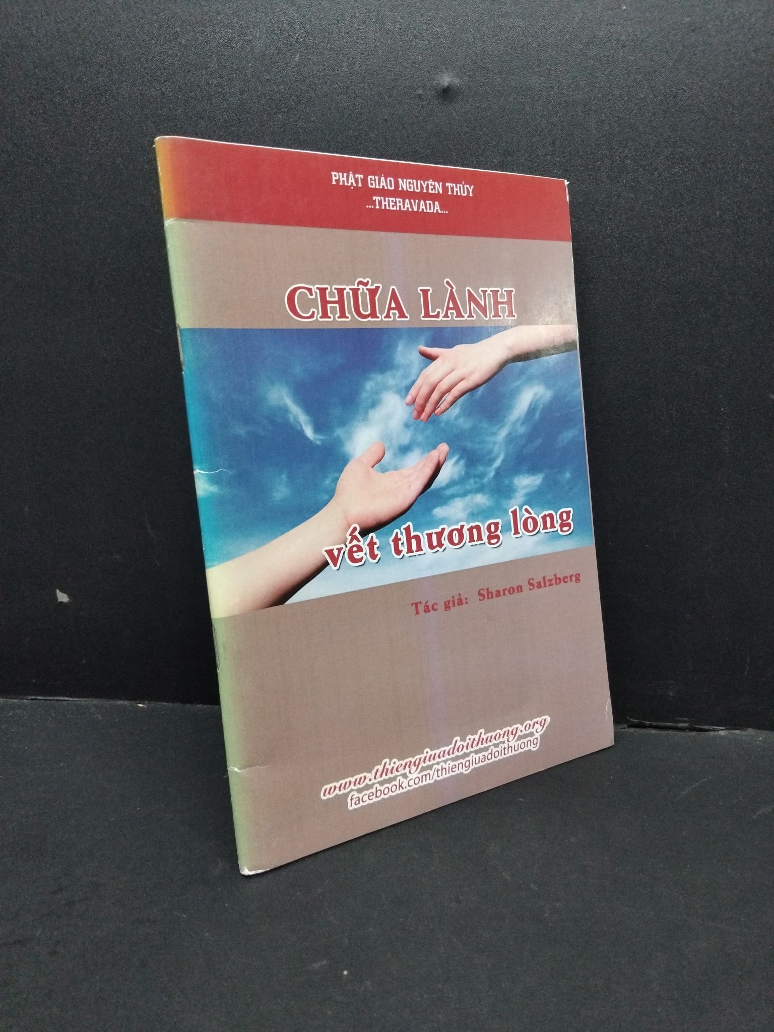 Chữa lành vết thương lòng mới 80% bẩn bìa, ố nhẹ 2410 Sharon Salzberg Thiền (SL có thể đặt: 1 Cuốn) - SÁCH ĐẠI HỌC