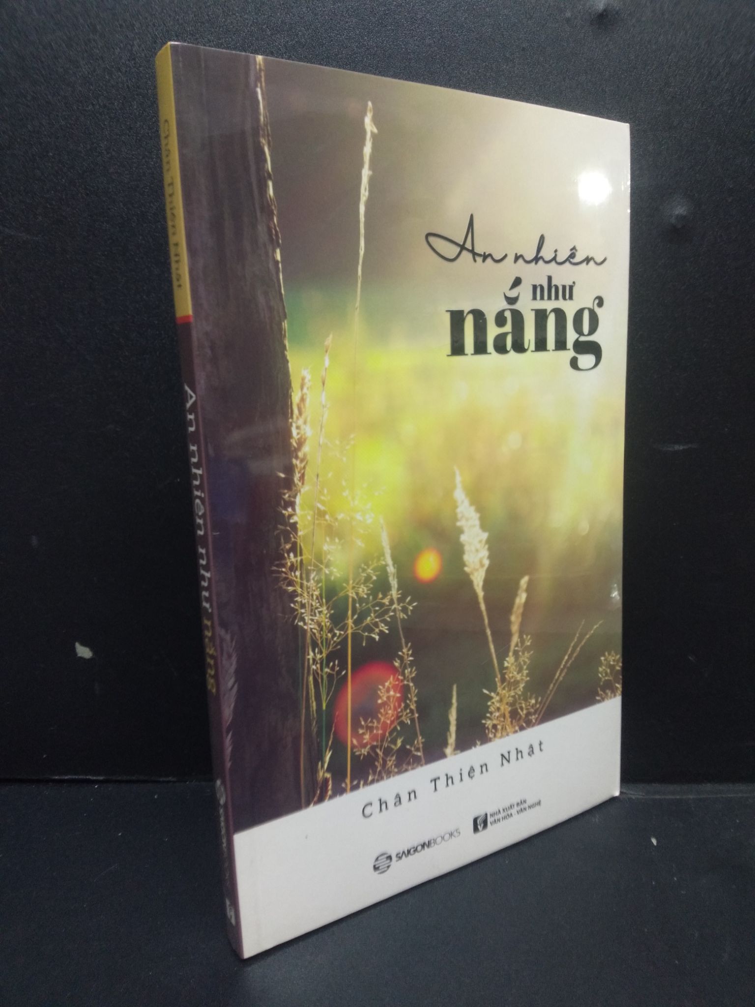 An nhiên như nắng, mới 100%, 2105, Chân Thiên Nhật, SACH Sách tâm lý (SL có thể đặt: 1 Cuốn) - SÁCH ĐẠI HỌC