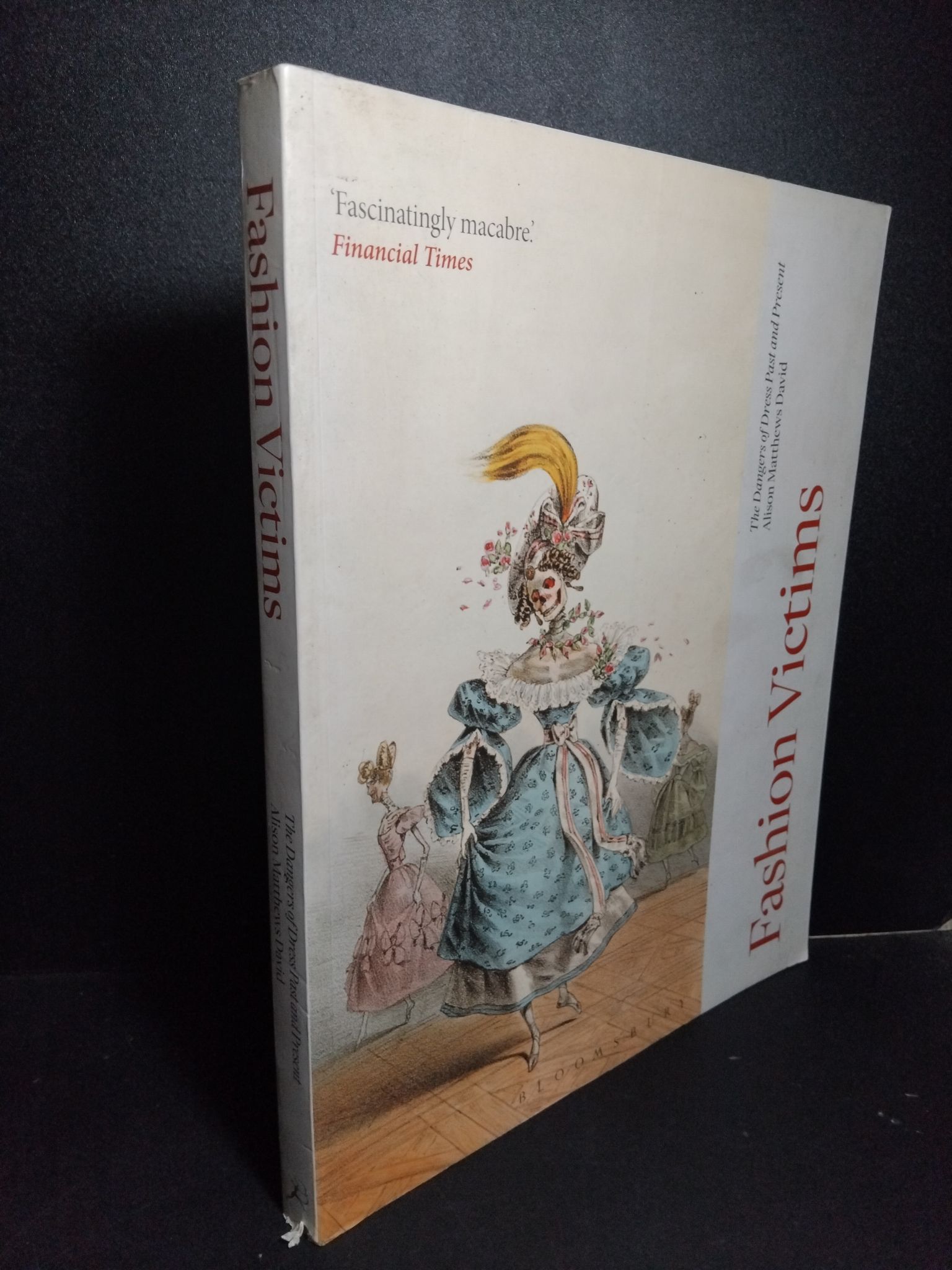 Fashion Victims (sách màu) mới 70% bẩn bìa, ố nhẹ, tróc gáy 2101 Alison Matthews David Sách ngoại văn (SL có thể đặt: 1 Cuốn) - SÁCH ĐẠI HỌC