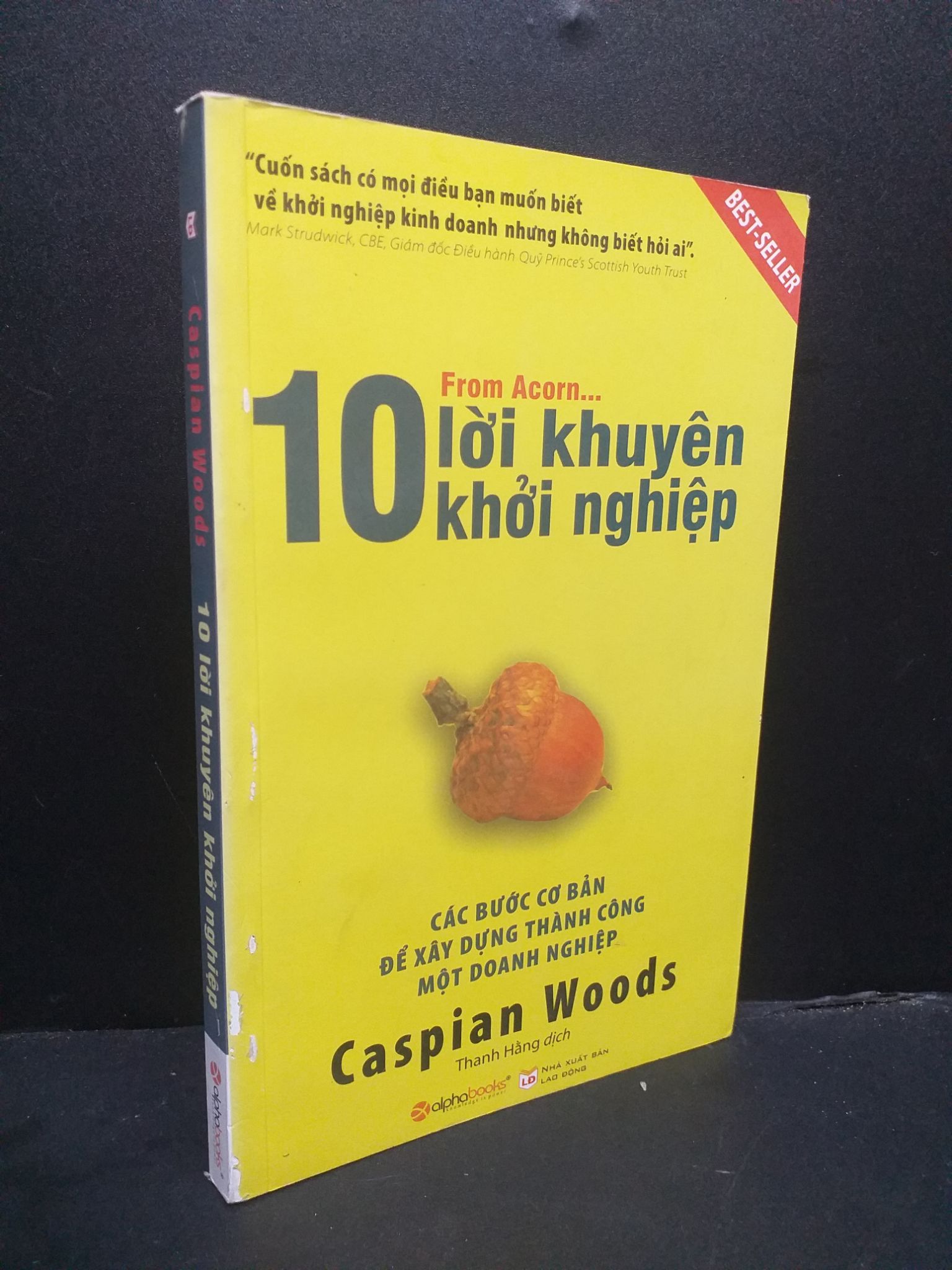 10 lời khuyên khởi nghiệp mới 90% 2016 0107 Caspian Woods Khởi nghiệp, làm giàu (SL có thể đặt: 2 Cuốn) - SÁCH ĐẠI HỌC