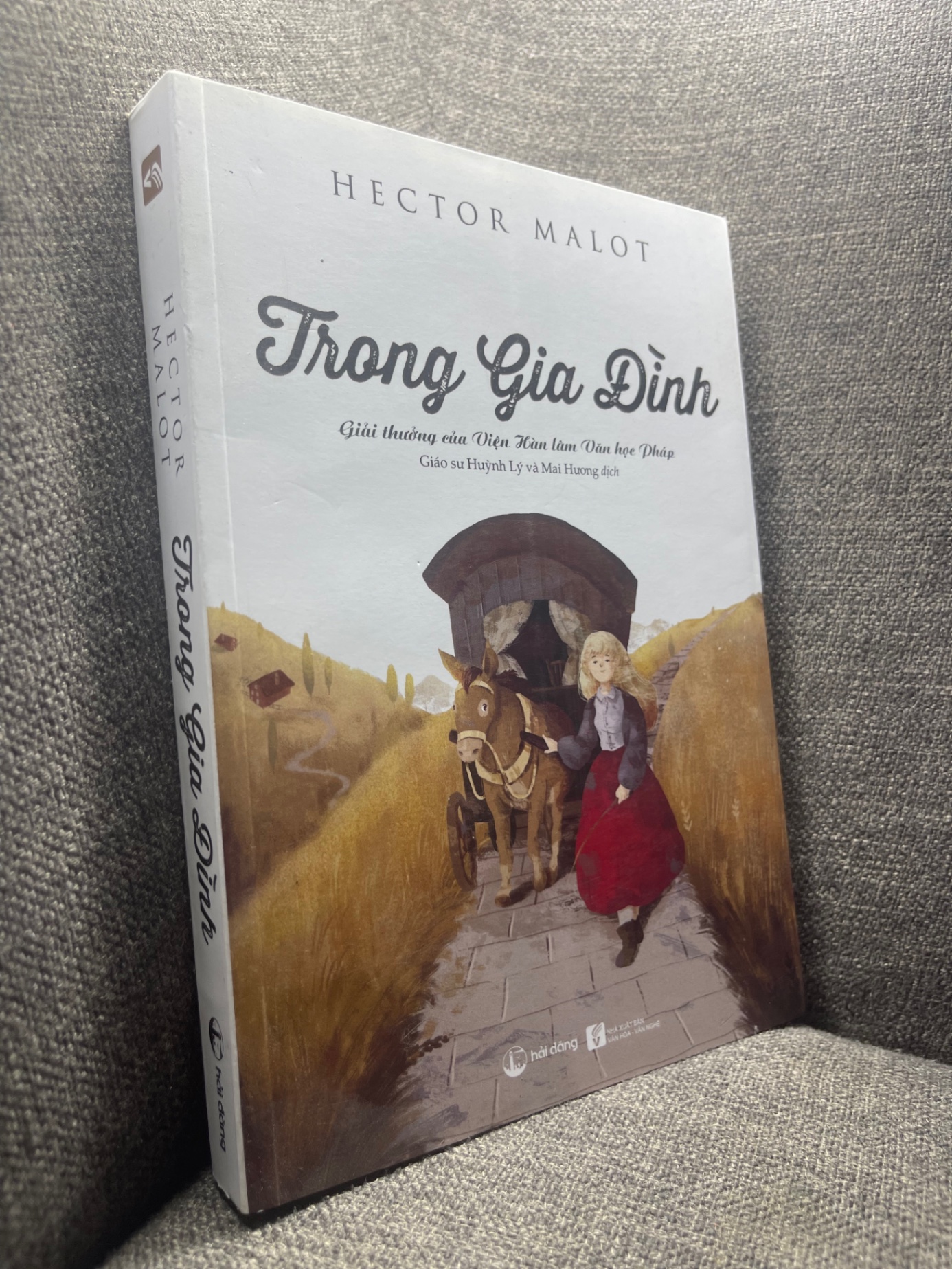 Trong gia đình - Hector Malot 2018 mới 90% 1204 (SL có thể đặt: 1 Cuốn) - SÁCH ĐẠI HỌC