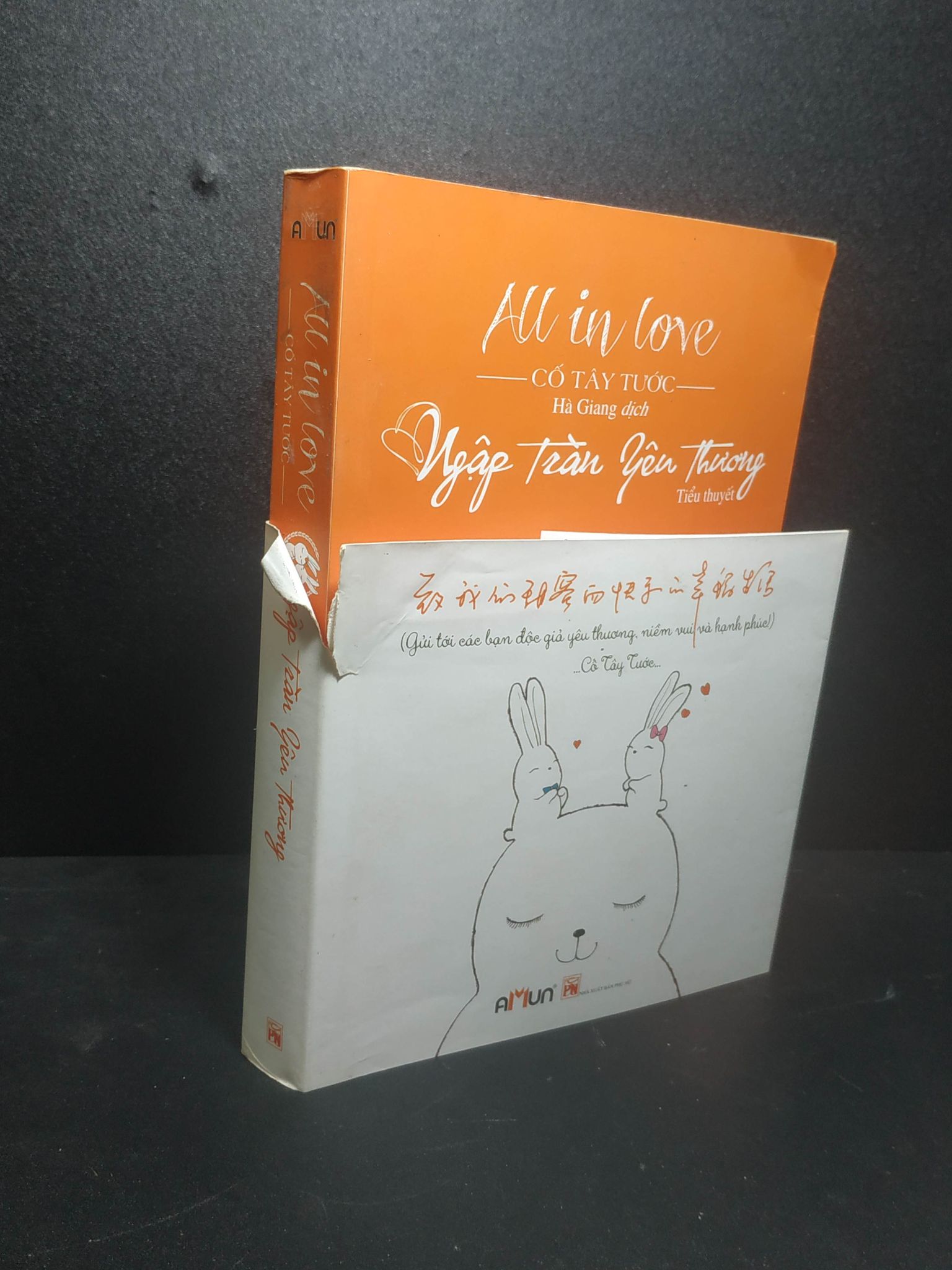 All in love Ngập tràn yêu thương 2017 - Cố Tây Tước (rách áo bìa) new 80% 0807 (SL có thể đặt: 1 Cuốn) - SÁCH ĐẠI HỌC