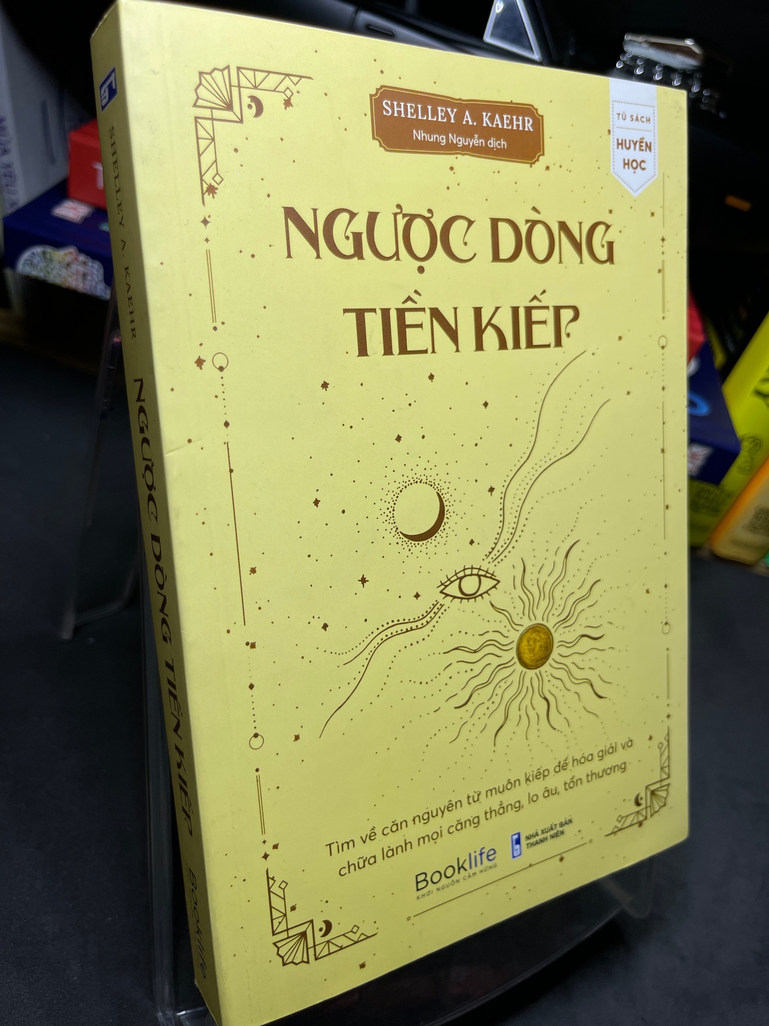 Ngược dòng tiền kiếp 2022 mới 85% mực xanh trang đầu Shelley A Kaehr 2905 (SL có thể đặt: 1 Cuốn) - SÁCH ĐẠI HỌC