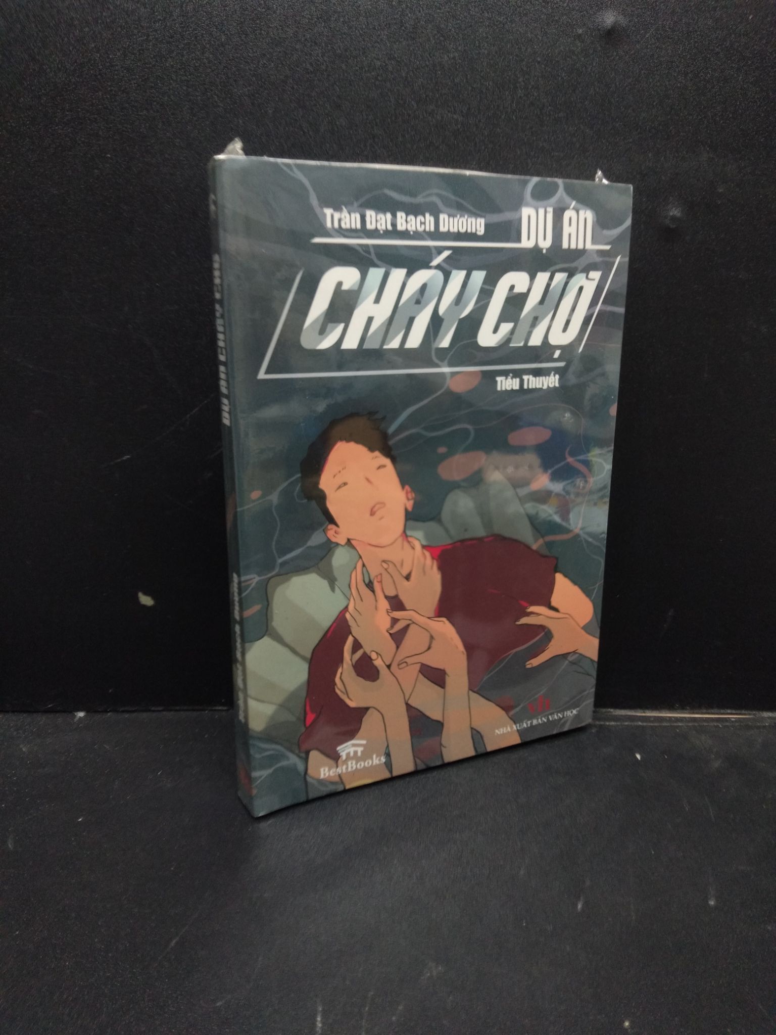 Dự Án Cháy Chợ (Tiểu thuyết) Trần Đạt Bạch Dương mới 95% 1003 Tiểu thuyết (SL có thể đặt: 1 Cuốn) - SÁCH ĐẠI HỌC