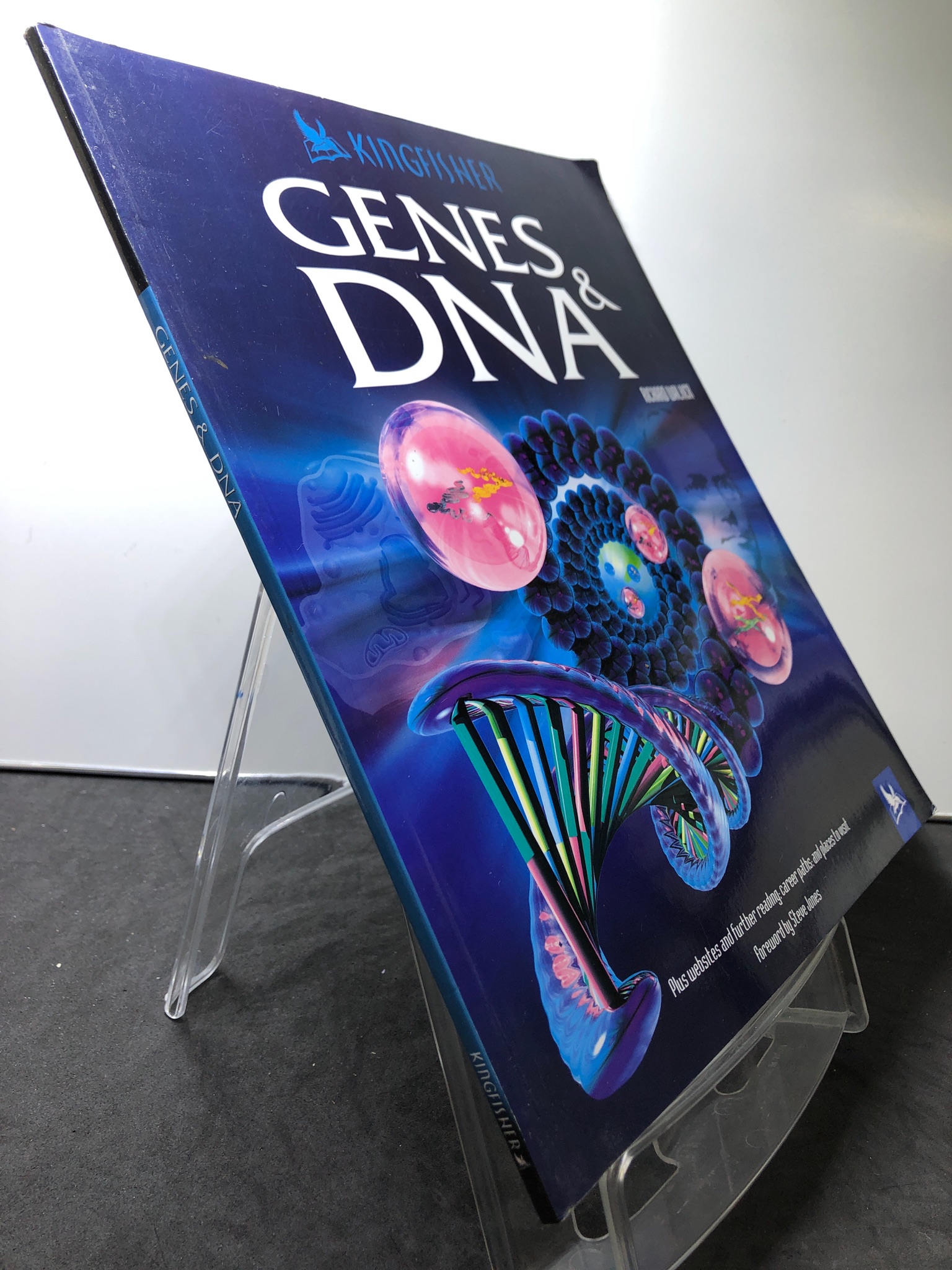 Genes and DNA KINGFISHER mới 85% bẩn nhẹ Richard Walker 3107 Sách ngoại văn (SL có thể đặt: 1 Cuốn) - SÁCH ĐẠI HỌC