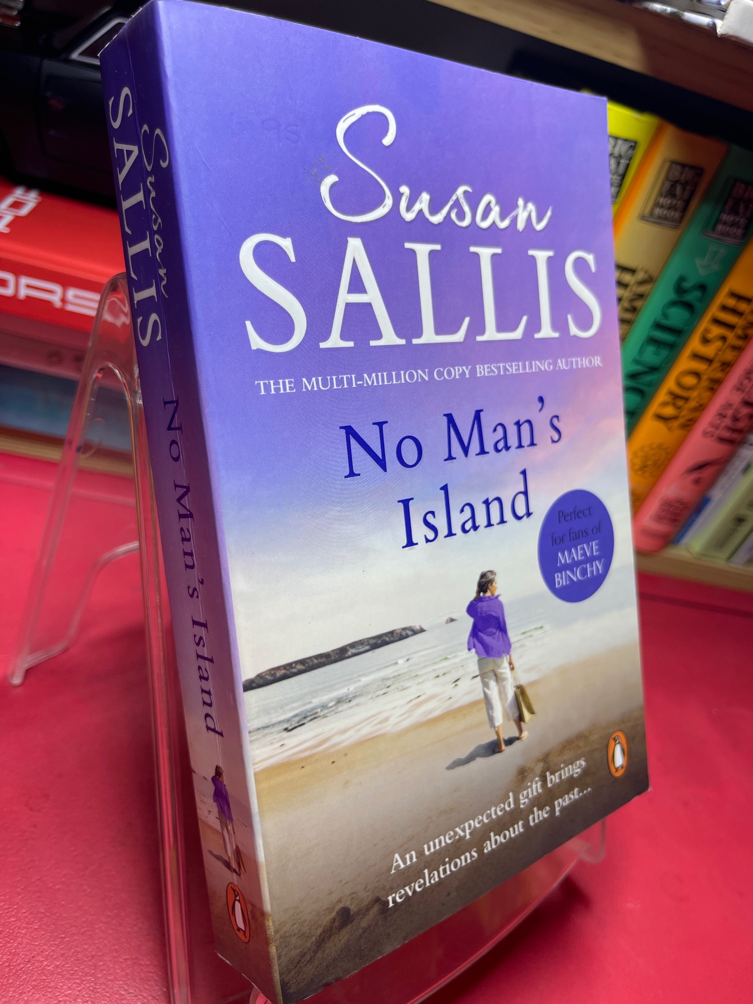 No mans island mới 90% Susan Sallis 1905 Sách ngoại văn (SL có thể đặt: 1 Cuốn) - SÁCH ĐẠI HỌC