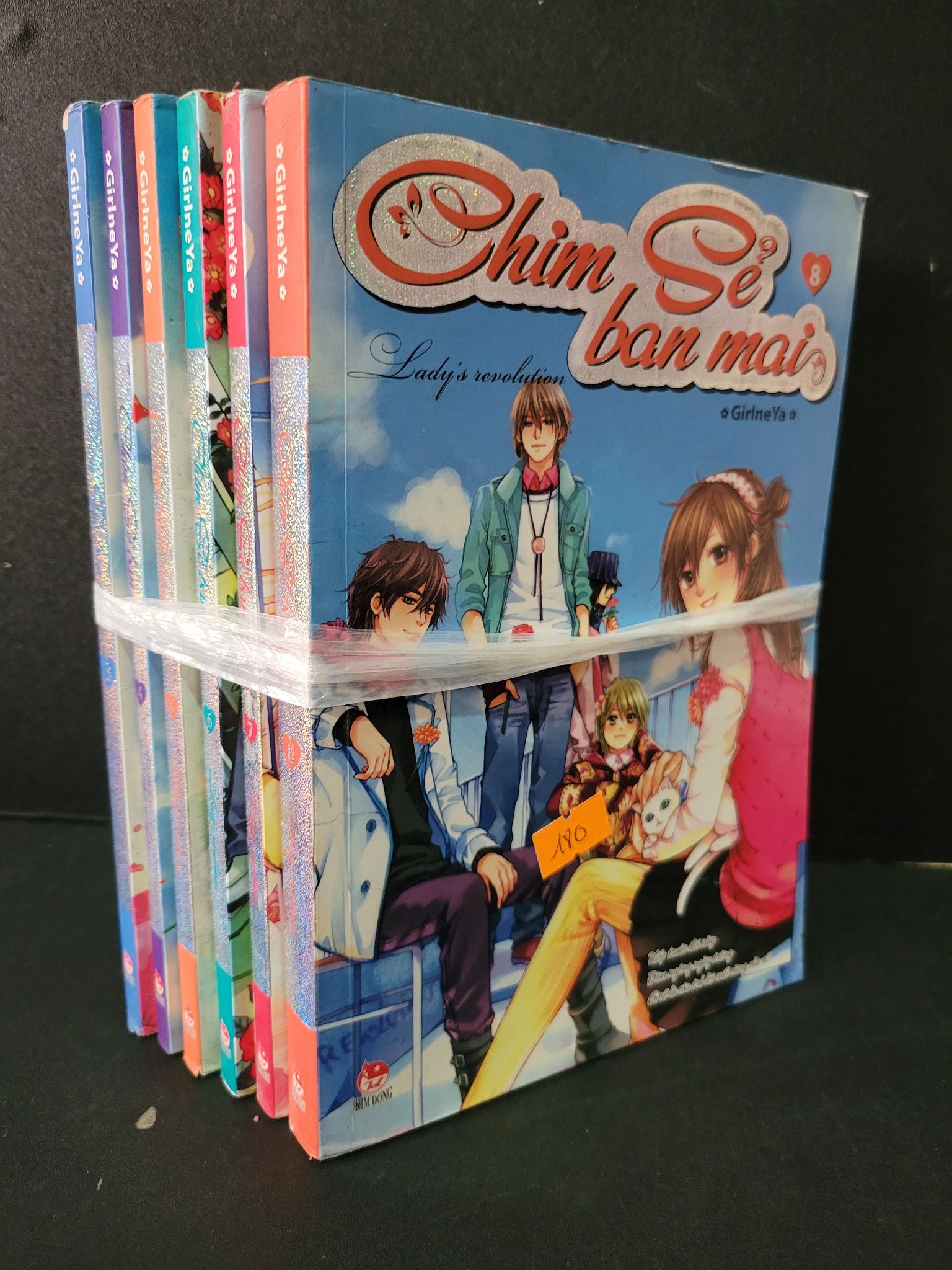Bộ 6 cuốn Chim sẻ ban mai (tập 3+4+5+6+7+8) mới 90% bẩn bìa, ố nhẹ, tróc gáy nhẹ Girlne Ya 1604 (SL có thể đặt: 1 Bộ (theo seri)) - SÁCH ĐẠI HỌC