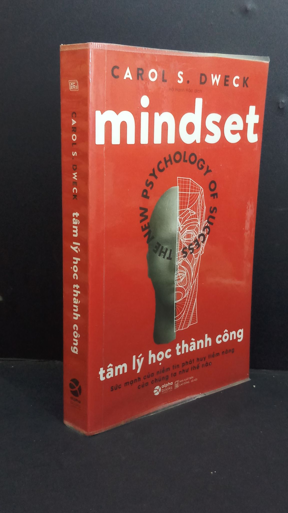 Tâm lý học thành công mới 90% ố nhẹ gấp góc nhẹ 2020 0412 Carol S. Dewck Sách tâm lý (SL có thể đặt: 1 Cuốn) - SÁCH ĐẠI HỌC