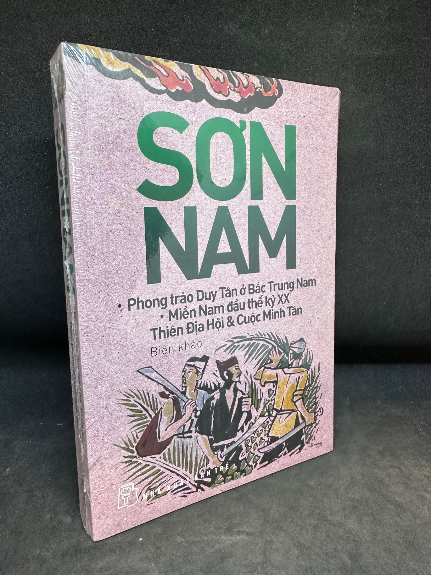 Sơn Nam. Phong trào Duy Tân ở Bắc Trung Nam - Miền Nam đầu thế kỷ XX..., mới 90% (ố nhẹ) 0201 (SL có thể đặt: 1 Cuốn) - SÁCH ĐẠI HỌC
