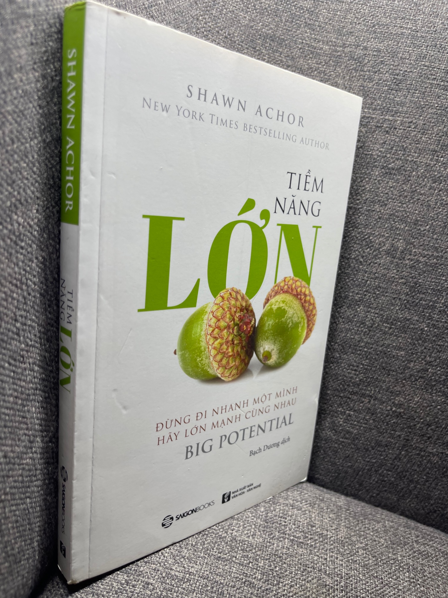 Tiềm năng lớn Shawn Achor 2019 mới 90% 1704 Sách tư duy, kỹ năng sống (SL có thể đặt: 1 Cuốn) - SÁCH ĐẠI HỌC