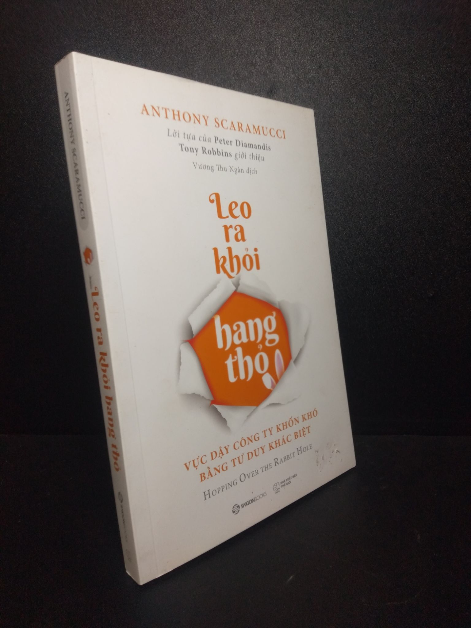Leo ra khỏi hang thỏ năm 2021 mới 80% bẩn nhẹ 1810 Sách tư duy, kỹ năng sống (SL có thể đặt: 1 Cuốn) - SÁCH ĐẠI HỌC