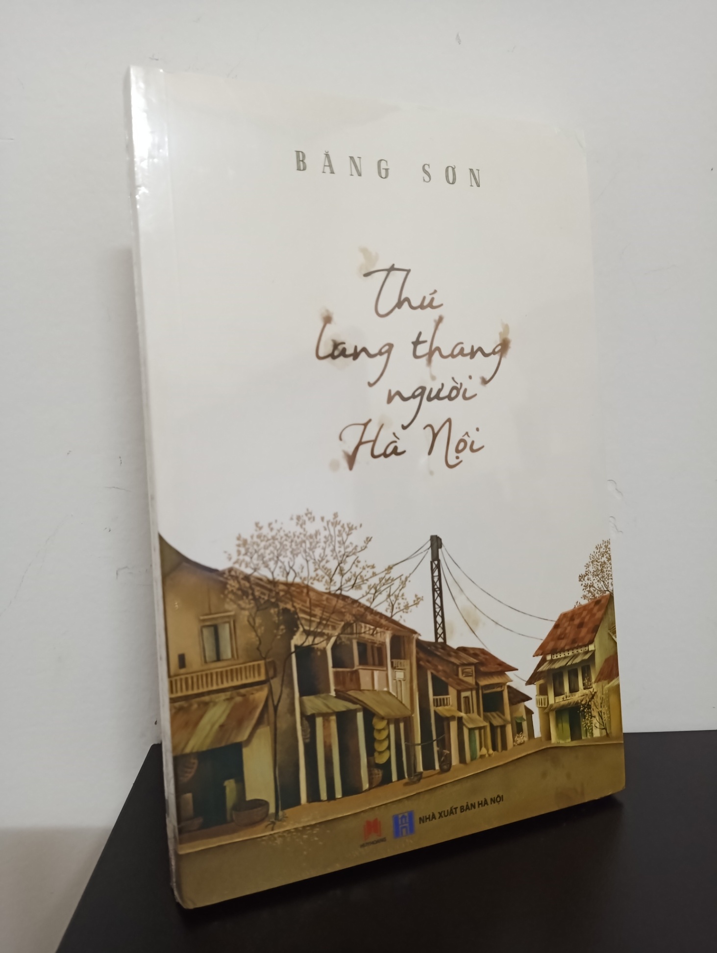 Thú Lang Thang Người Hà Nội - Băng Sơn New 100% 1311 (SL có thể đặt: 3 cuốn) - SÁCH ĐẠI HỌC