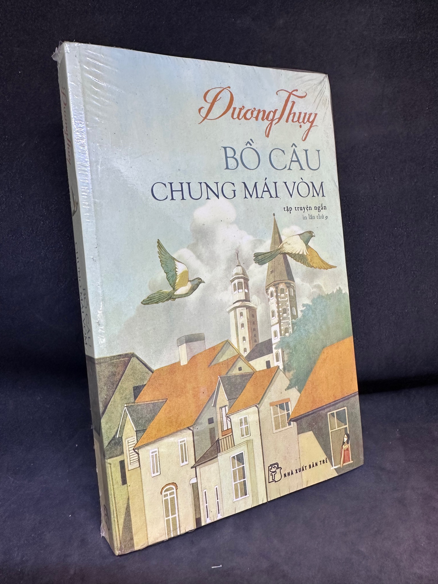 Bồ câu chung mái vòm - Dương Thụy, mới 90% (ố nhẹ) 0201 (SL có thể đặt: 1 Cuốn) - SÁCH ĐẠI HỌC
