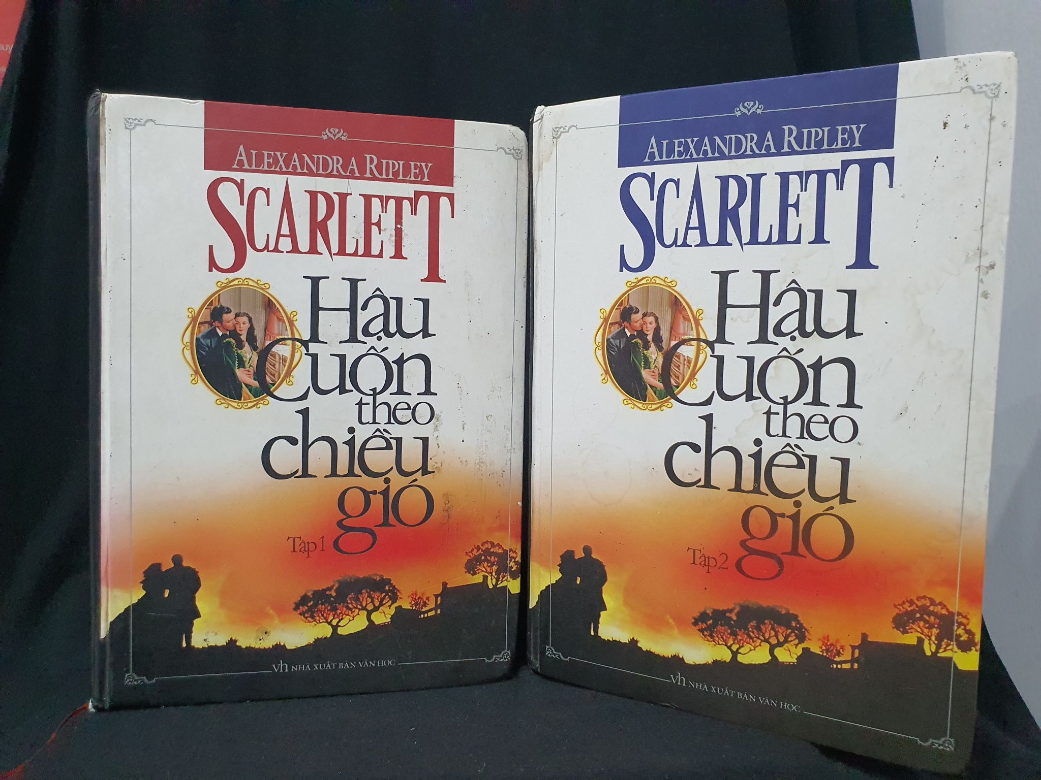 Hậu cuốn theo chiều gió trọn bộ 2 tập mới 70%2009 -205 ALEXANDRA RIPLEY (SL có thể đặt: 1 Bộ (theo seri)) - SÁCH ĐẠI HỌC