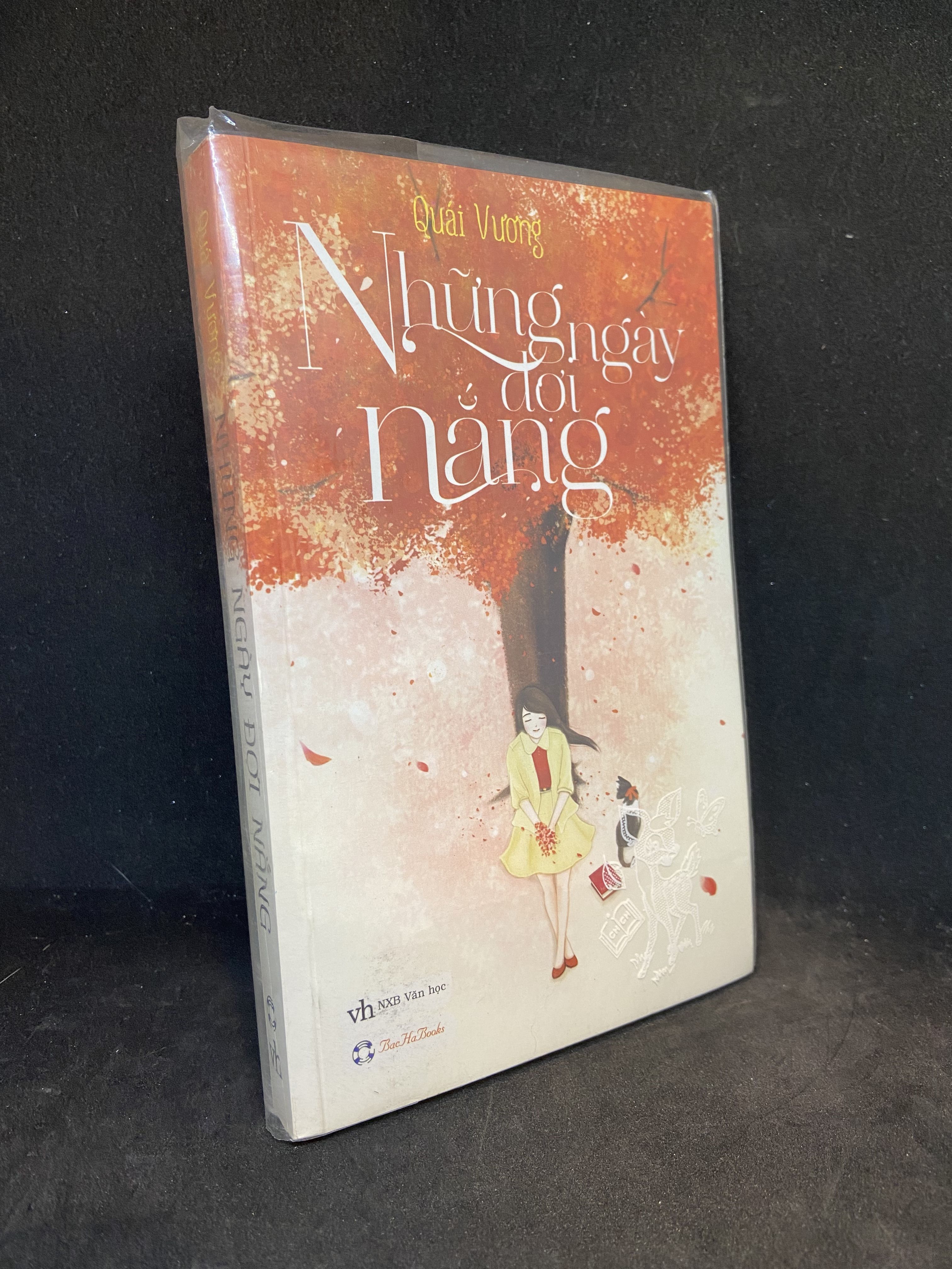 Những ngày đợi nắng Mới 90% 2712 (SL có thể đặt: 1 Cuốn) - SÁCH ĐẠI HỌC