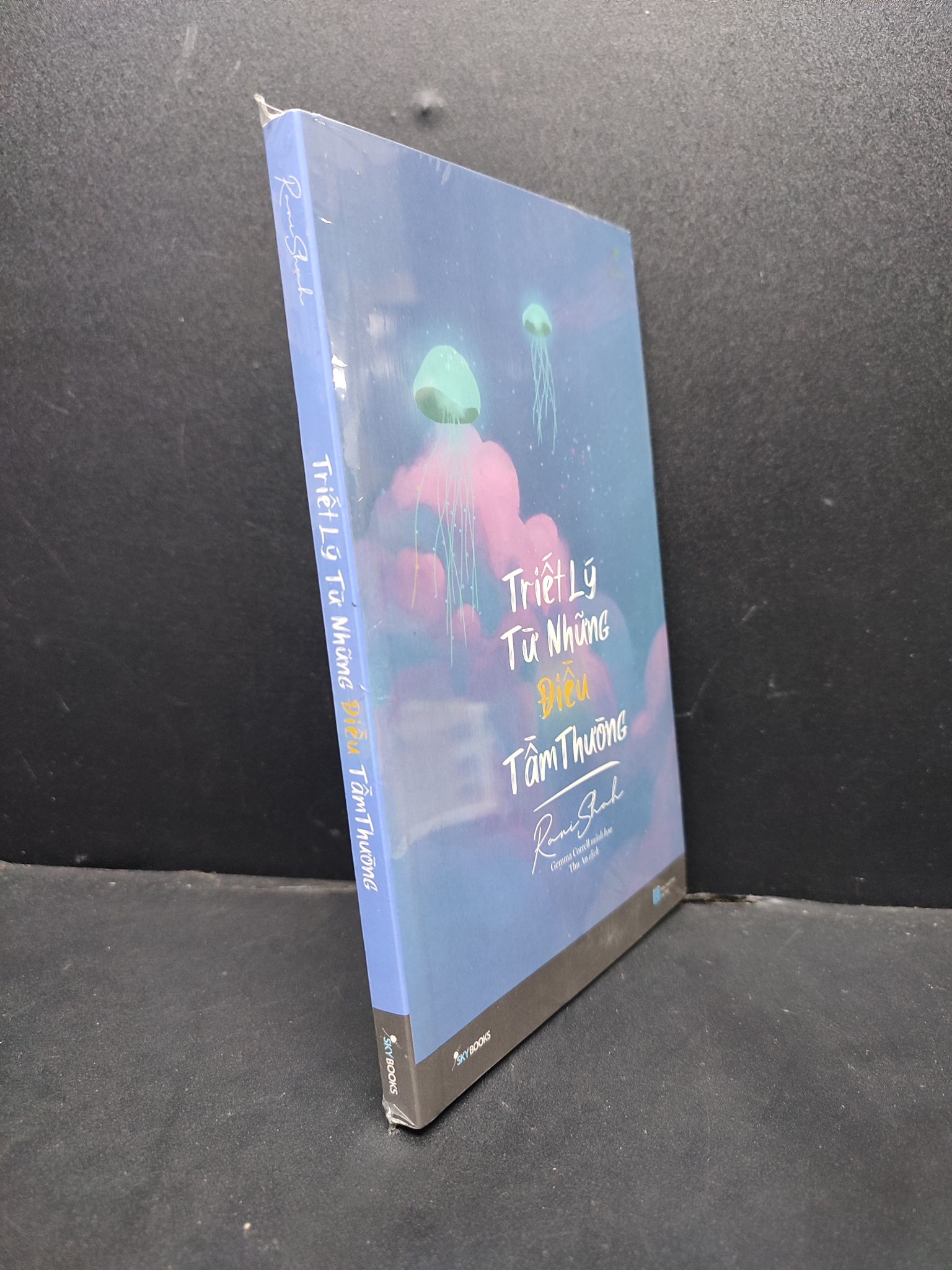 Triết Lý Từ Những Điều Tầm Thường mới 100% 1406 Rani Shah (SL có thể đặt: 2 Cuốn) - SÁCH ĐẠI HỌC
