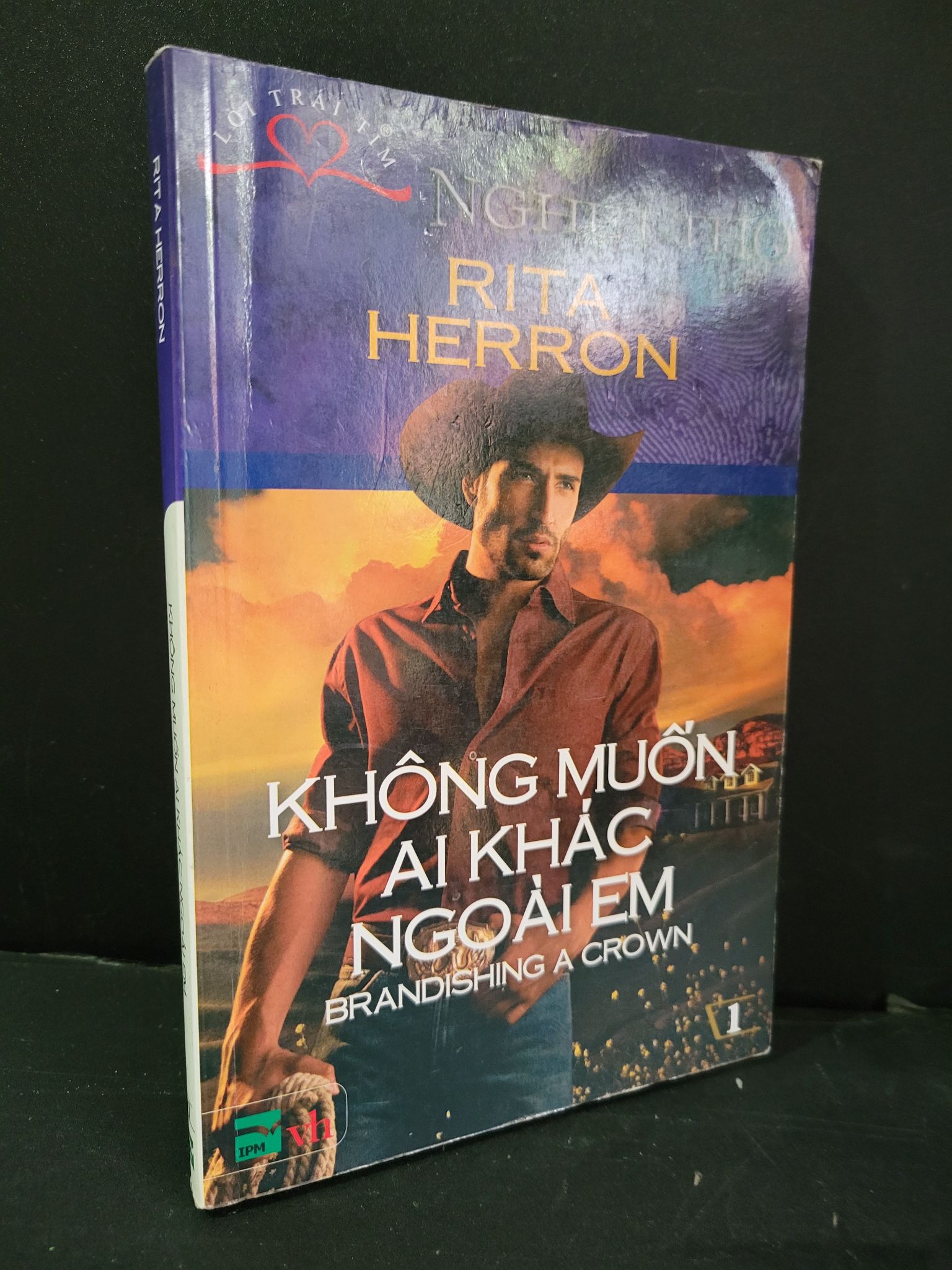 Không muốn ai khác ngoài em mới 90% bẩn bìa, ố nhẹ, tróc gáy nhẹ 2011 Rita Herron 3004 (SL có thể đặt: 1 Cuốn) - SÁCH ĐẠI HỌC