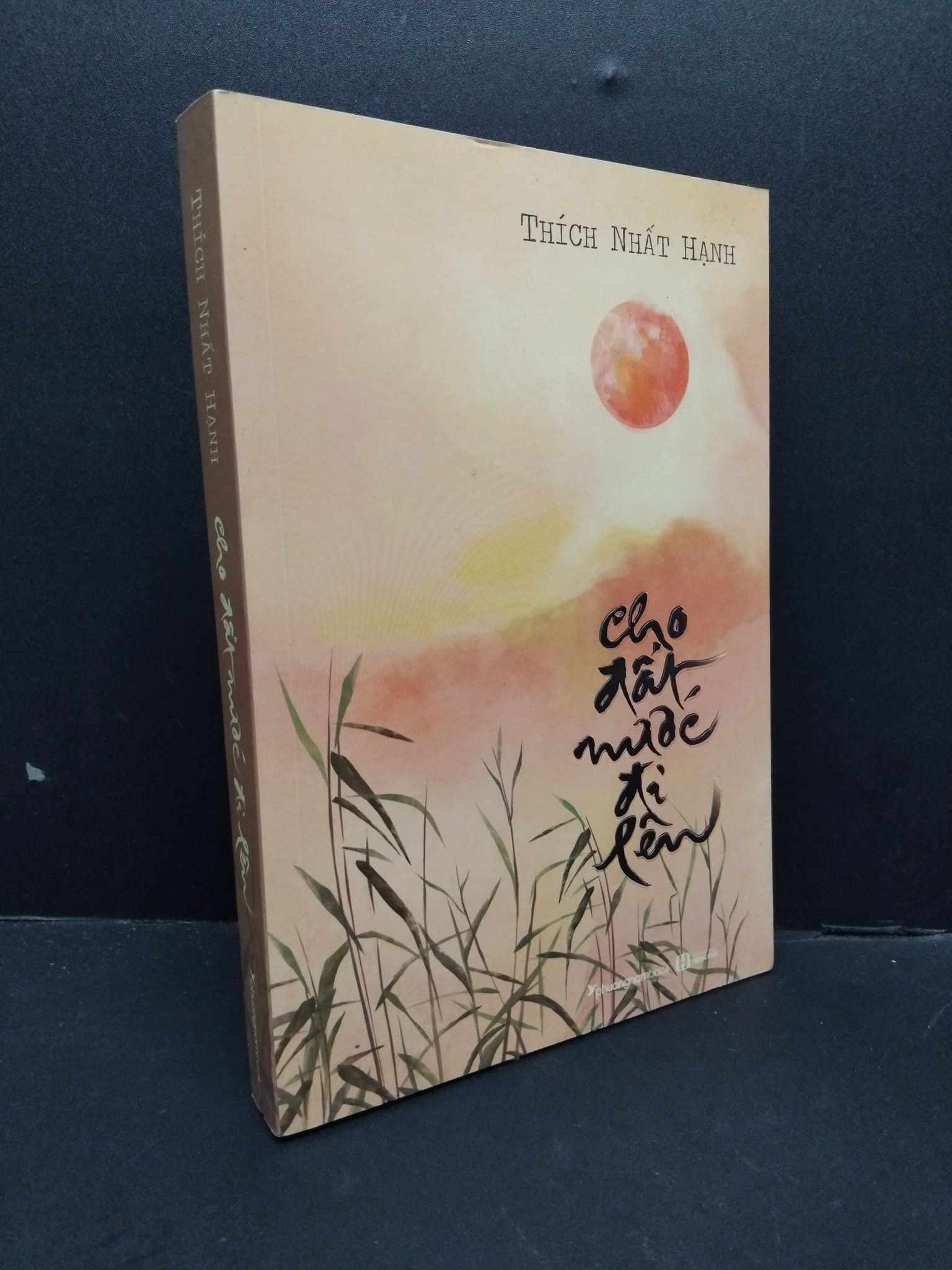 Cho đất nước đi lên mới 90% bẩn nhẹ 2019 1410 Thích Nhất Hạnh Phật giáo (SL có thể đặt: 2 Cuốn) - SÁCH ĐẠI HỌC