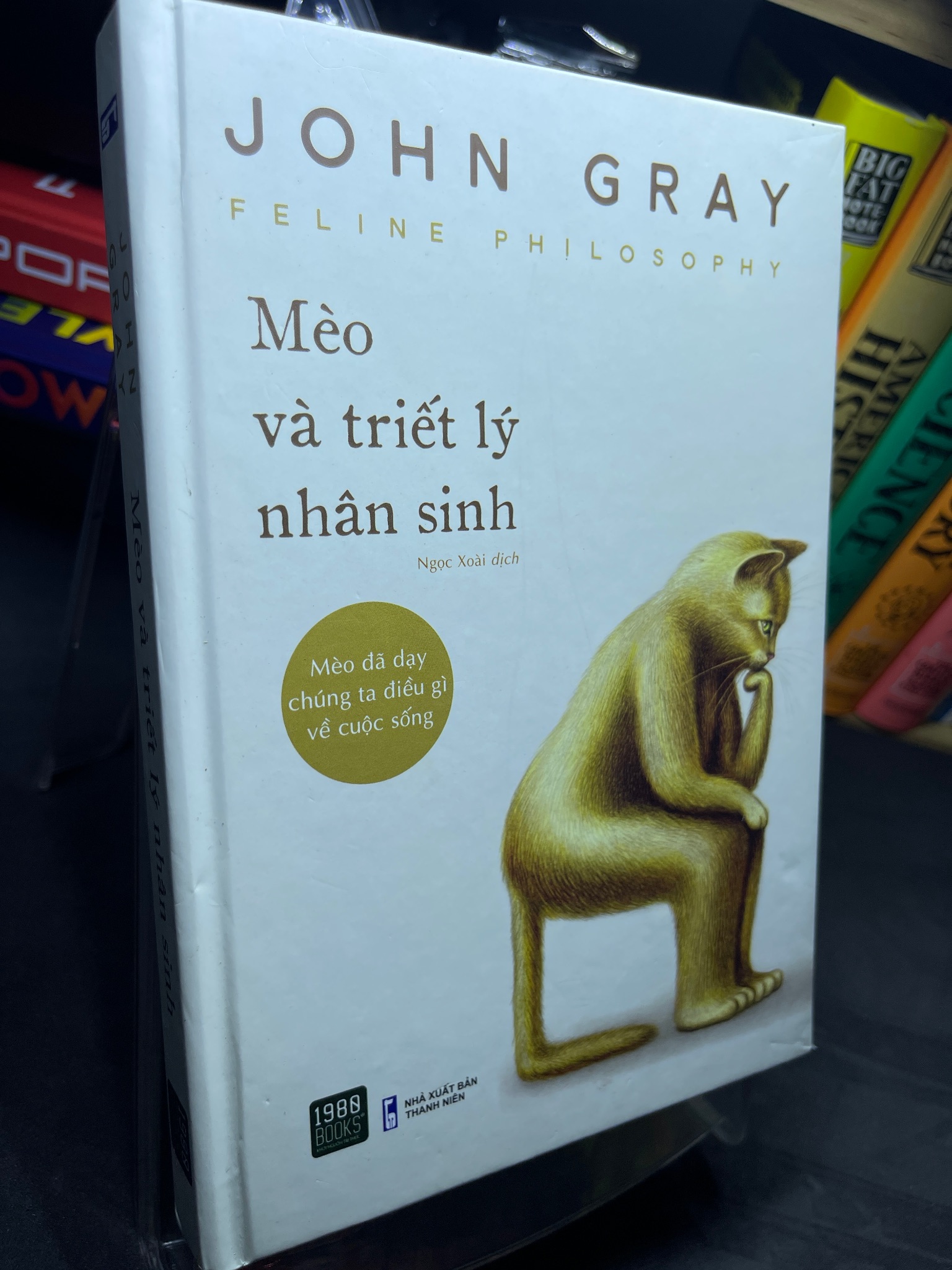 Mèo và triết lý nhân sinh 2022 mới 85% bẩn nhẹ bìa cứng John Gray 2205 (SL có thể đặt: 1 Cuốn) - SÁCH ĐẠI HỌC